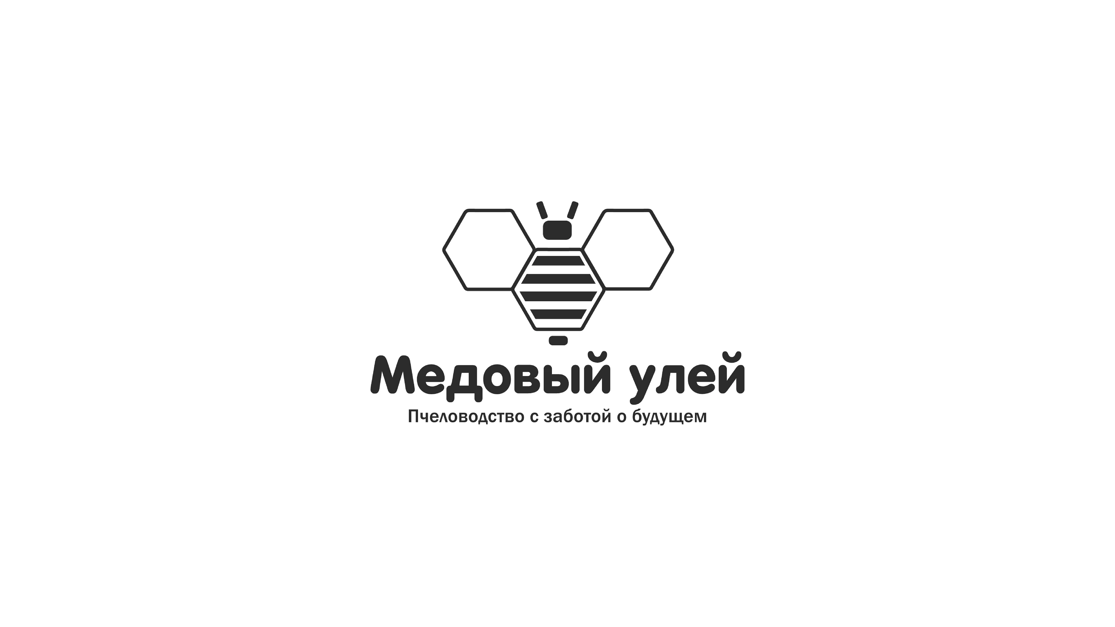 Медовый улей | Фирменный стиль | Брендинг — Изображение №3 — Брендинг на Dprofile