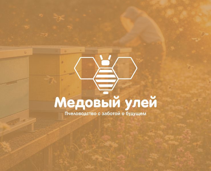 Медовый улей | Фирменный стиль | Брендинг — Брендинг на Dprofile