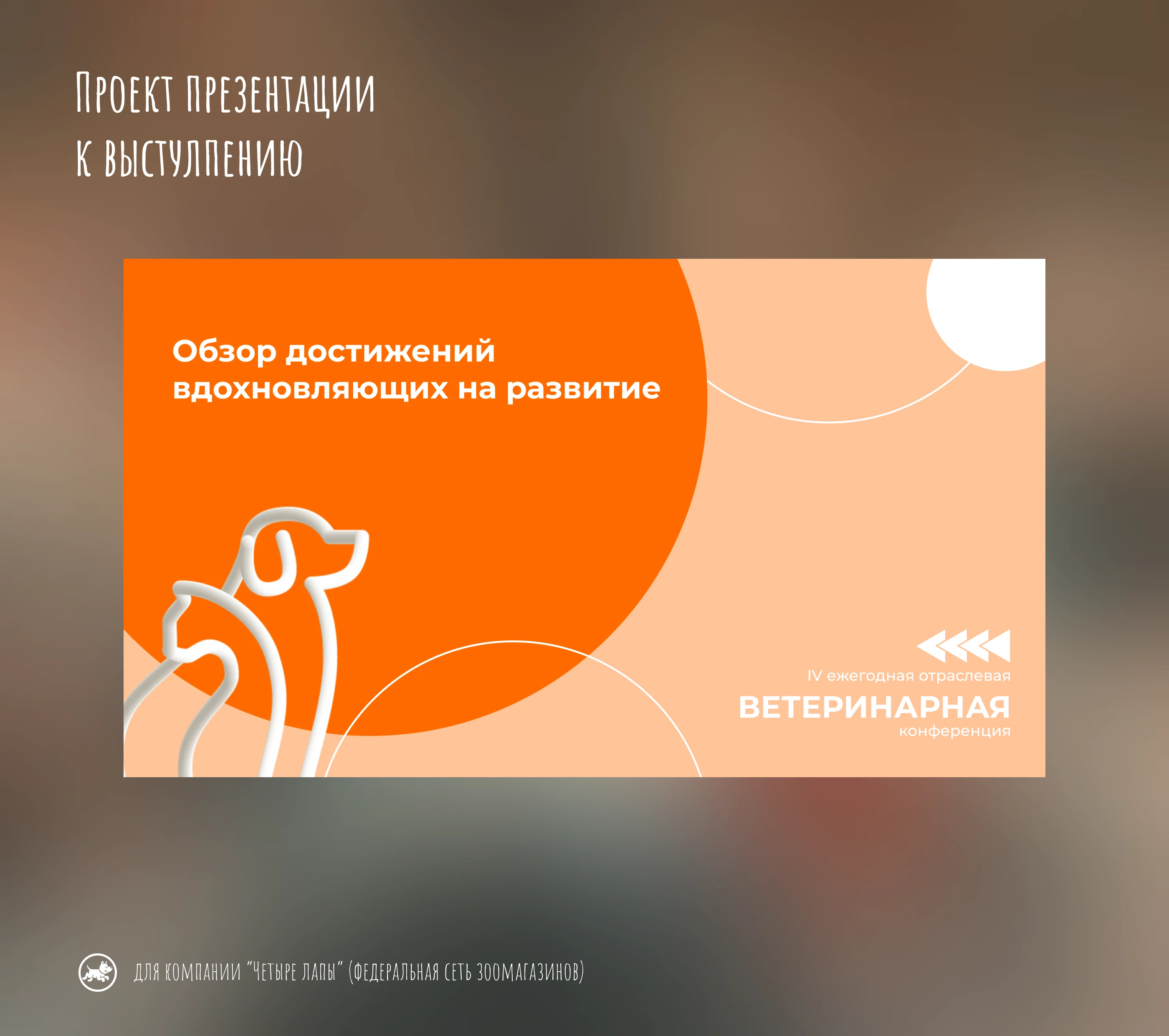 Презентация к выступлению исполнительного директора — Изображение №1 — Графика, Маркетинг на Dprofile