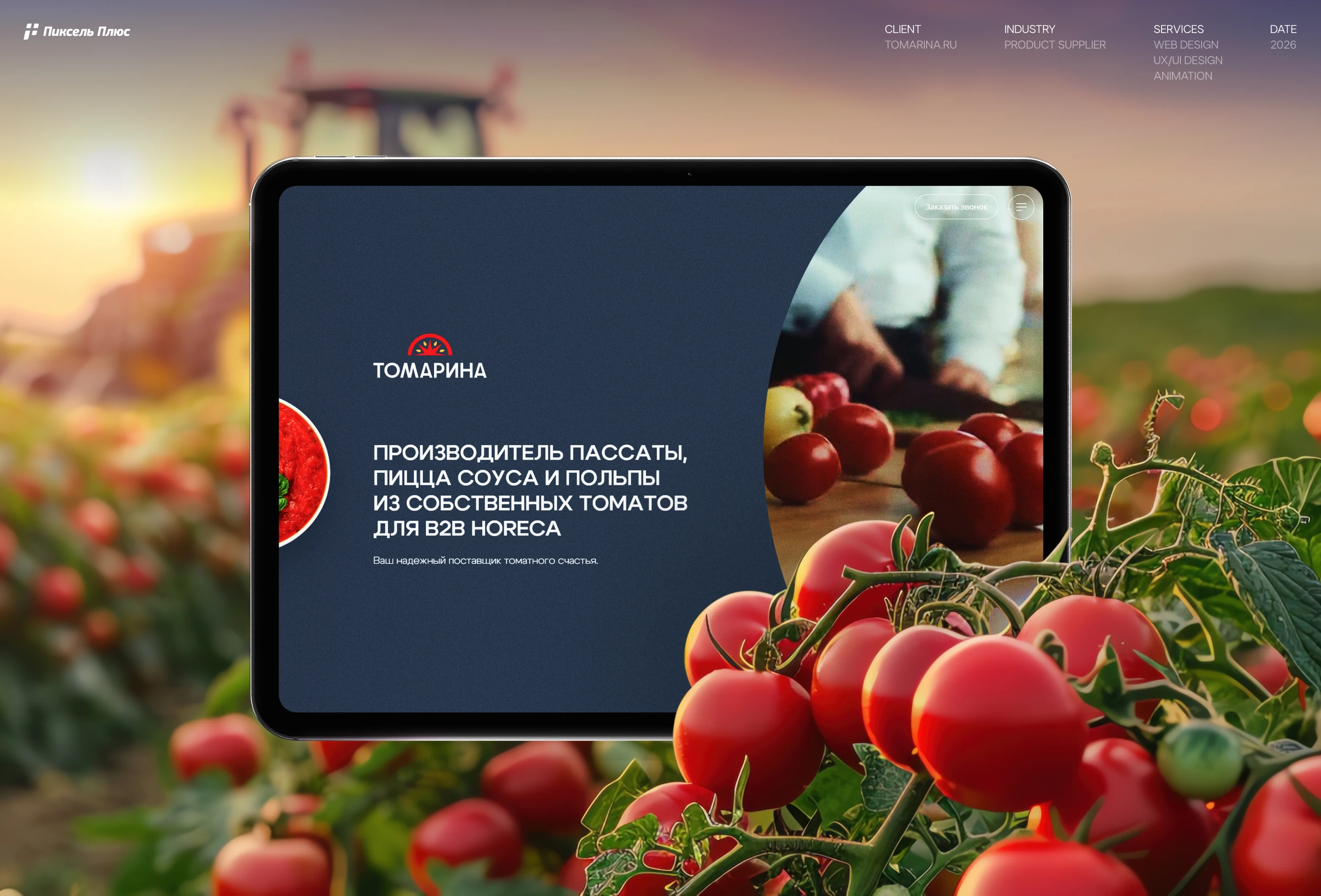 Корпоративный сайт для ТОМАРИНА / Website — Изображение №1 — Интерфейсы на Dprofile