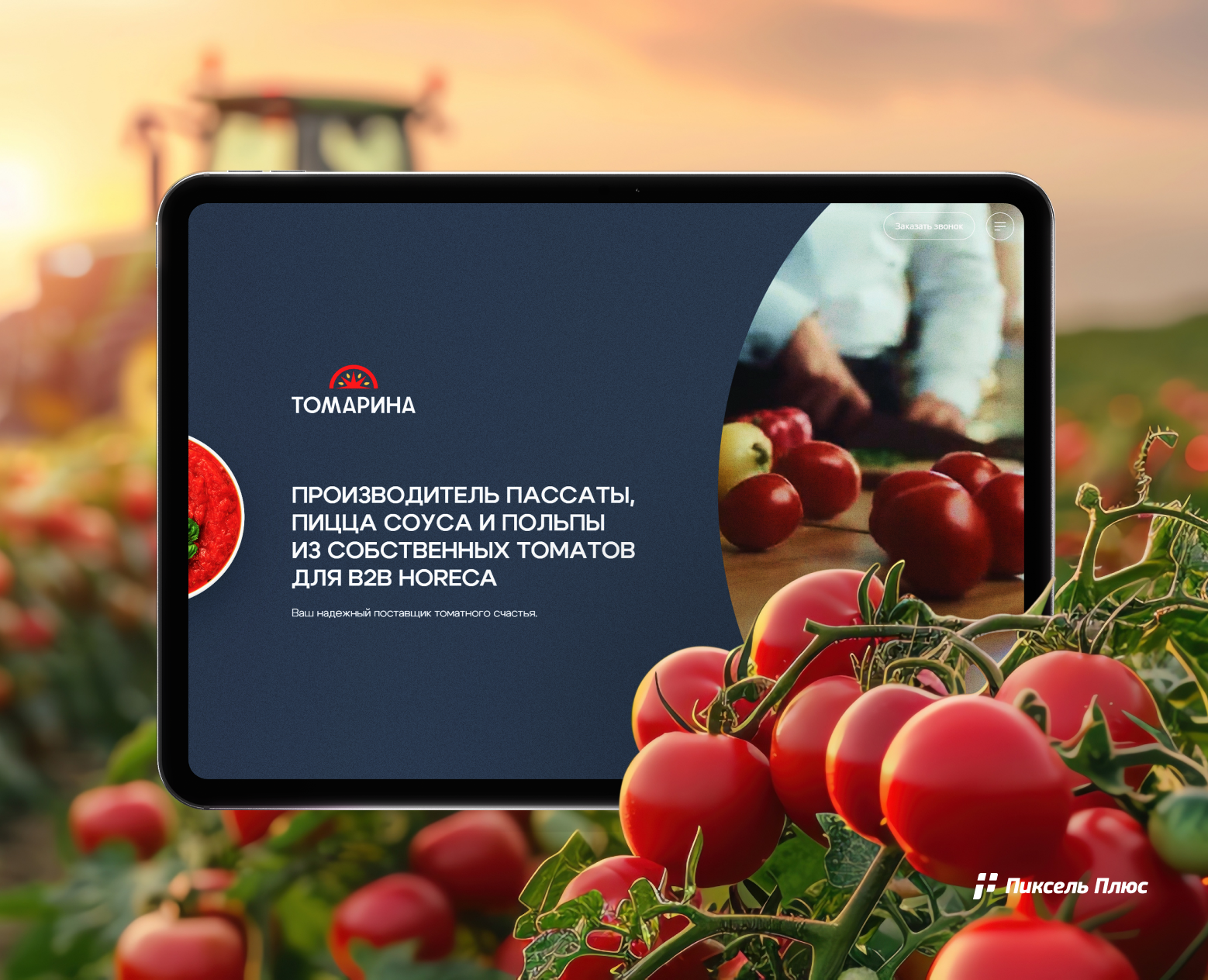 Корпоративный сайт для ТОМАРИНА / Website — Интерфейсы на Dprofile