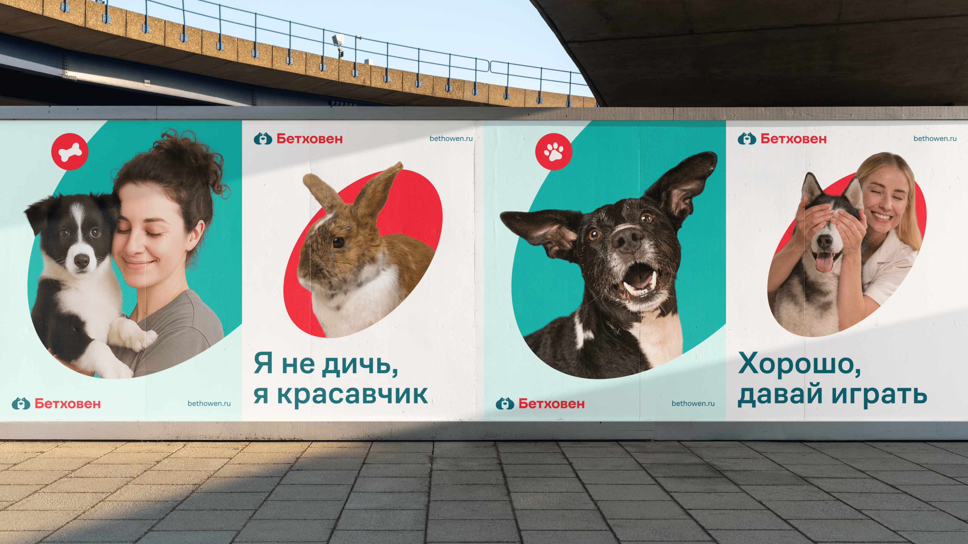 Бетховен — Изображение №4 — Брендинг на Dprofile