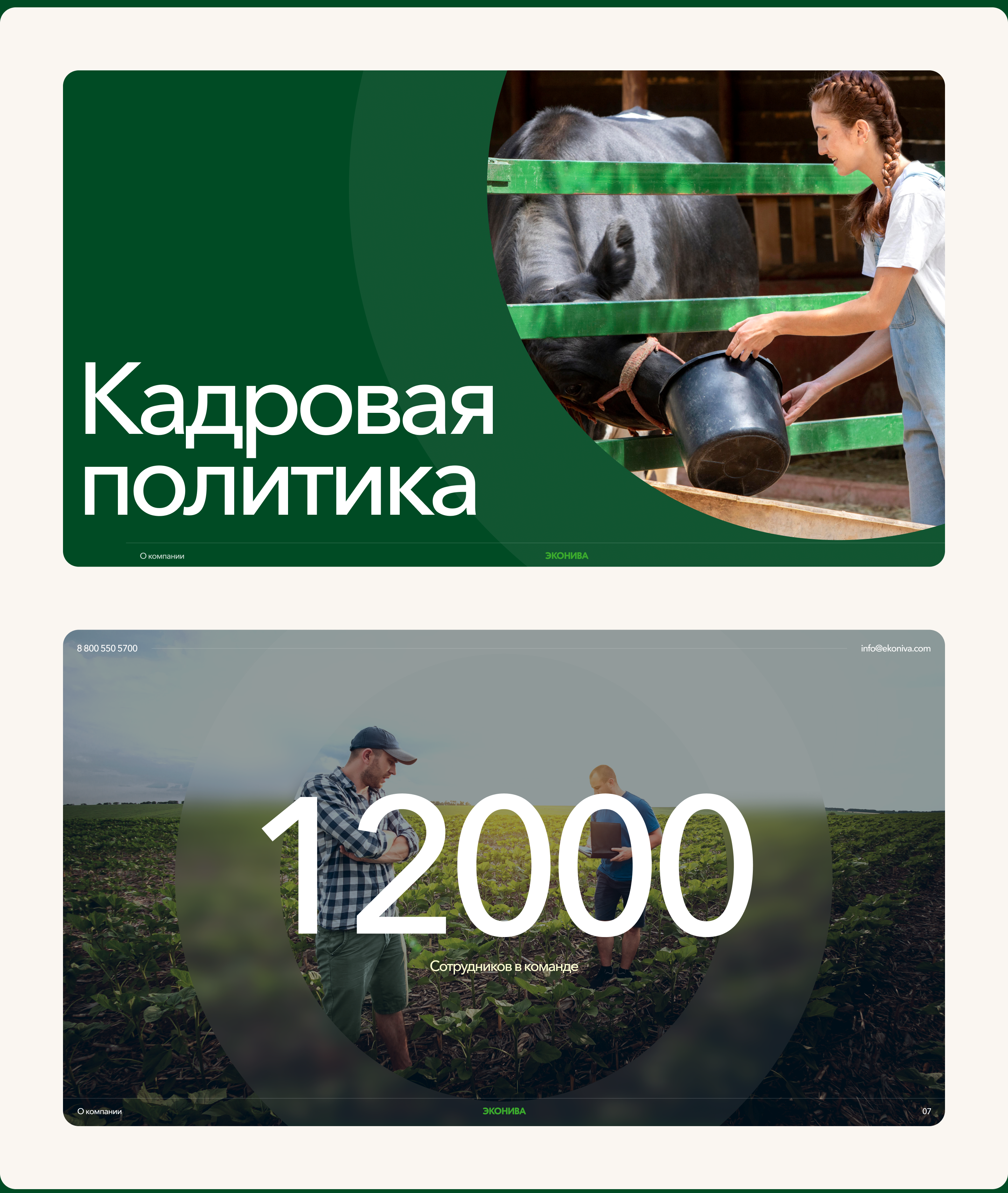 Эконива. Презентация проекта — Изображение №6 — Интерфейсы, Маркетинг на Dprofile