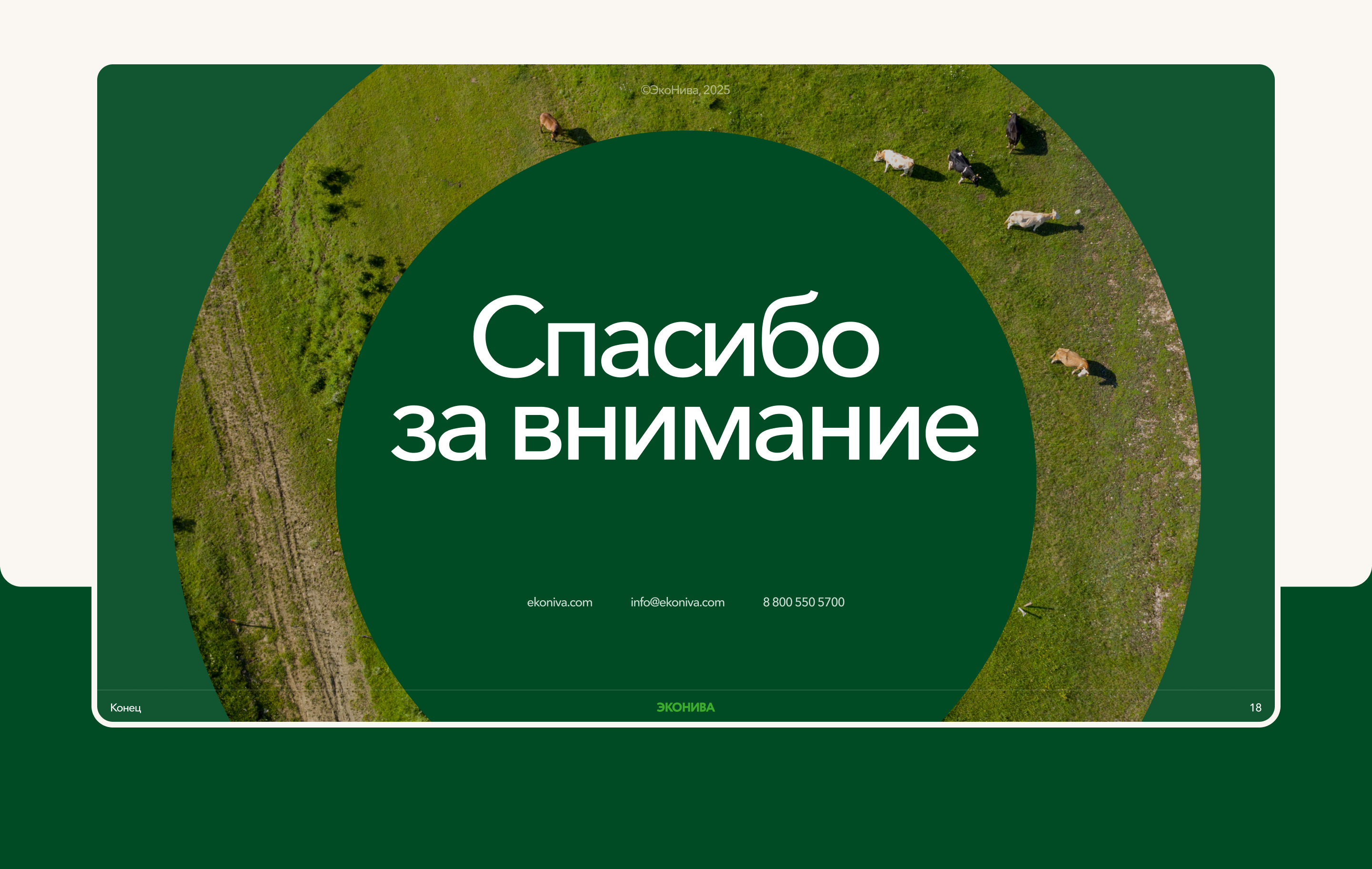 Эконива. Презентация проекта — Изображение №11 — Интерфейсы, Маркетинг на Dprofile