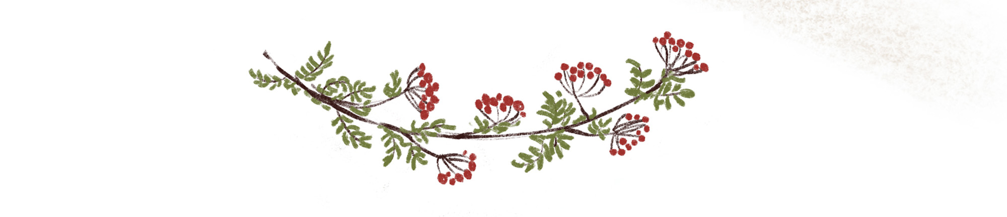 Осенние наброски — Изображение №5 — Брендинг, Иллюстрация на Dprofile