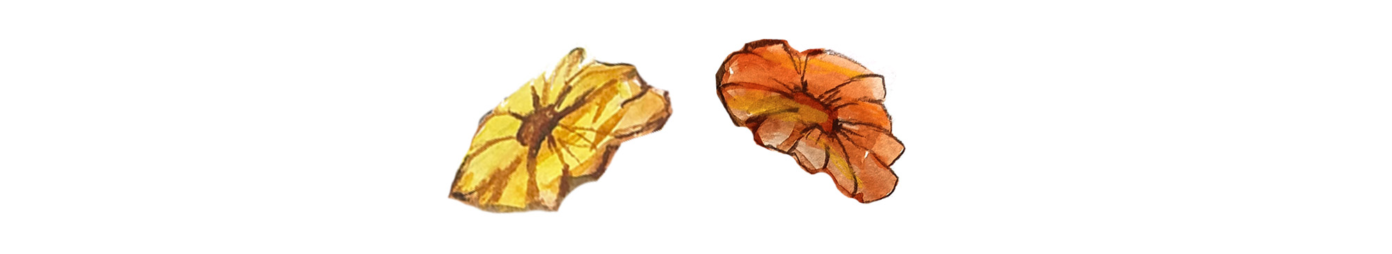 Обложки для книг "И будутцветы" и "Жили у бабыТоси" — Изображение №5 — Иллюстрация на Dprofile