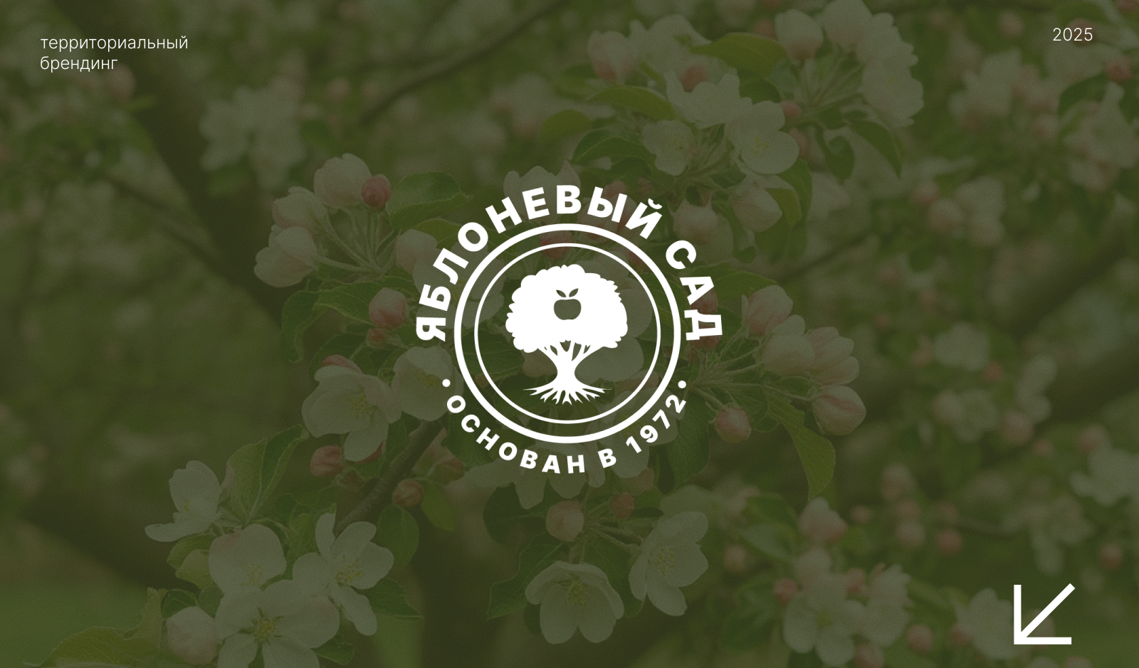 Территориальный брендинг Яблоневого сада в Санкт-Петербурге — Изображение №1 — Брендинг на Dprofile