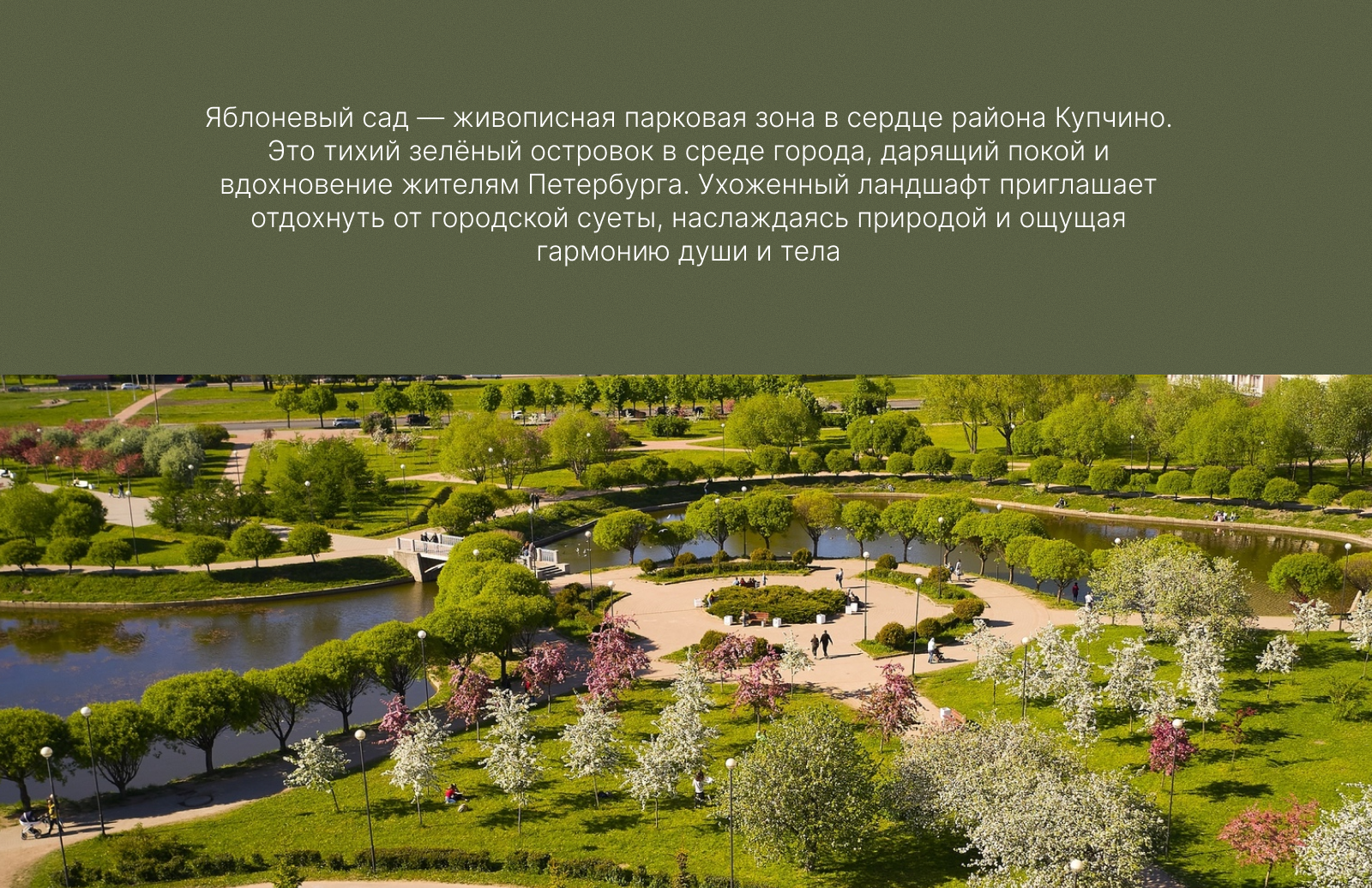 Территориальный брендинг Яблоневого сада в Санкт-Петербурге — Изображение №2 — Брендинг на Dprofile