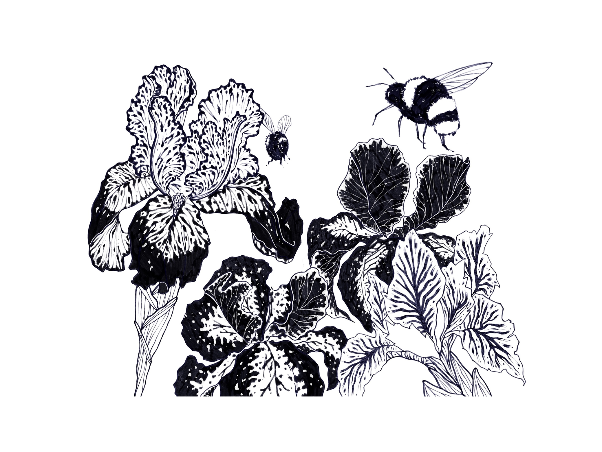 Внепроектное. Иллюстрации — Изображение №8 — Иллюстрация, Графика на Dprofile