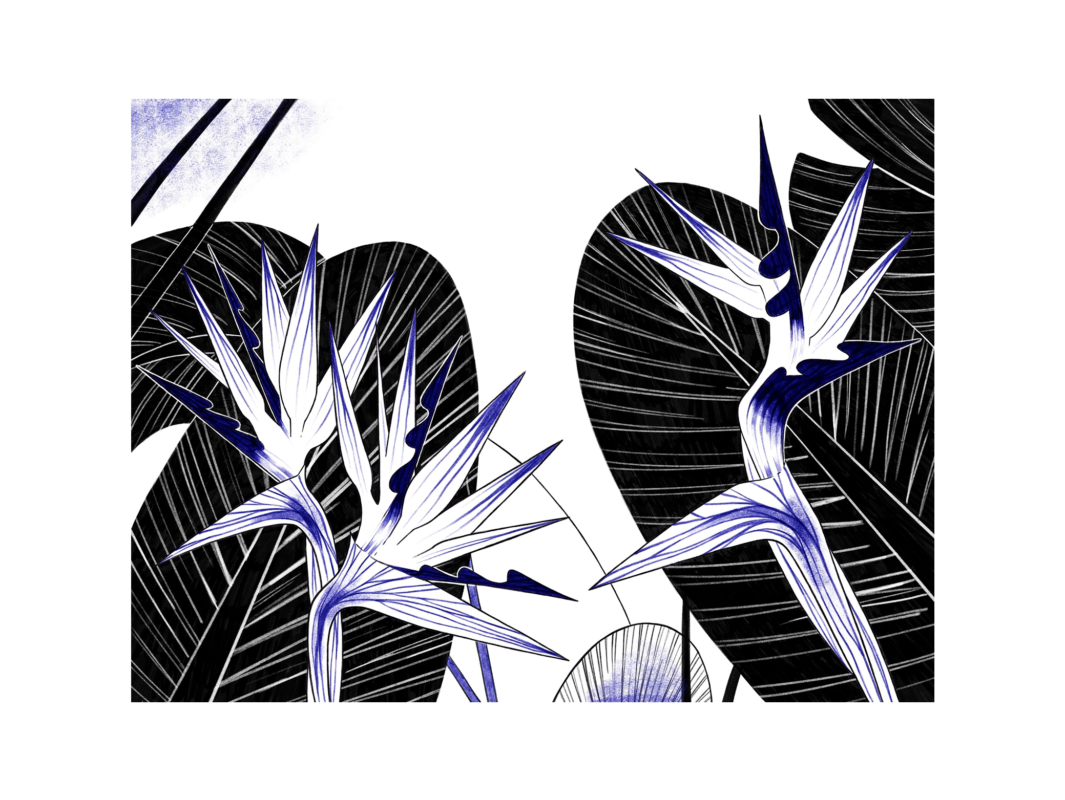 Внепроектное. Иллюстрации — Изображение №9 — Иллюстрация, Графика на Dprofile