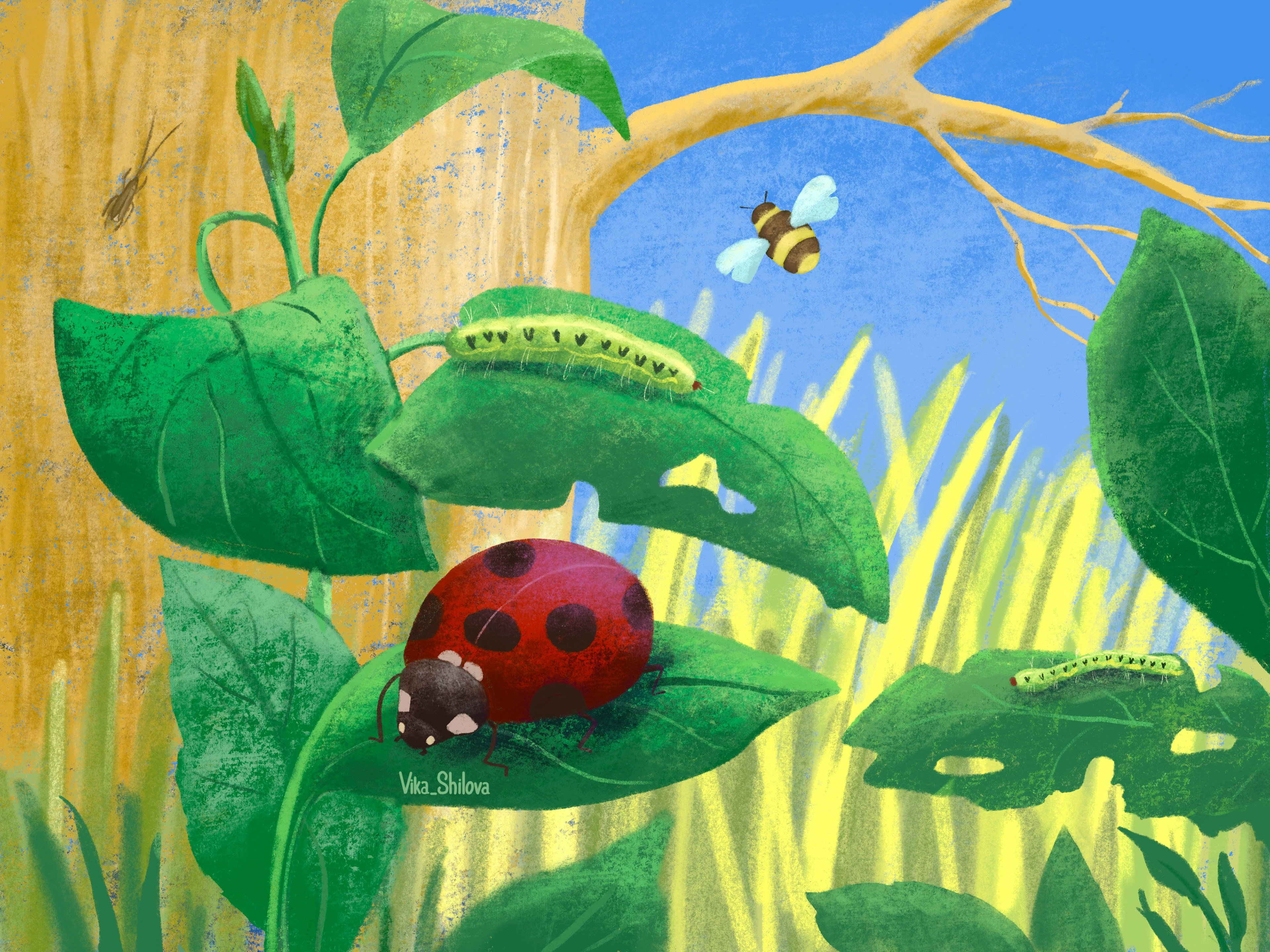 Животные в природе — Изображение №6 — Иллюстрация, Графика на Dprofile