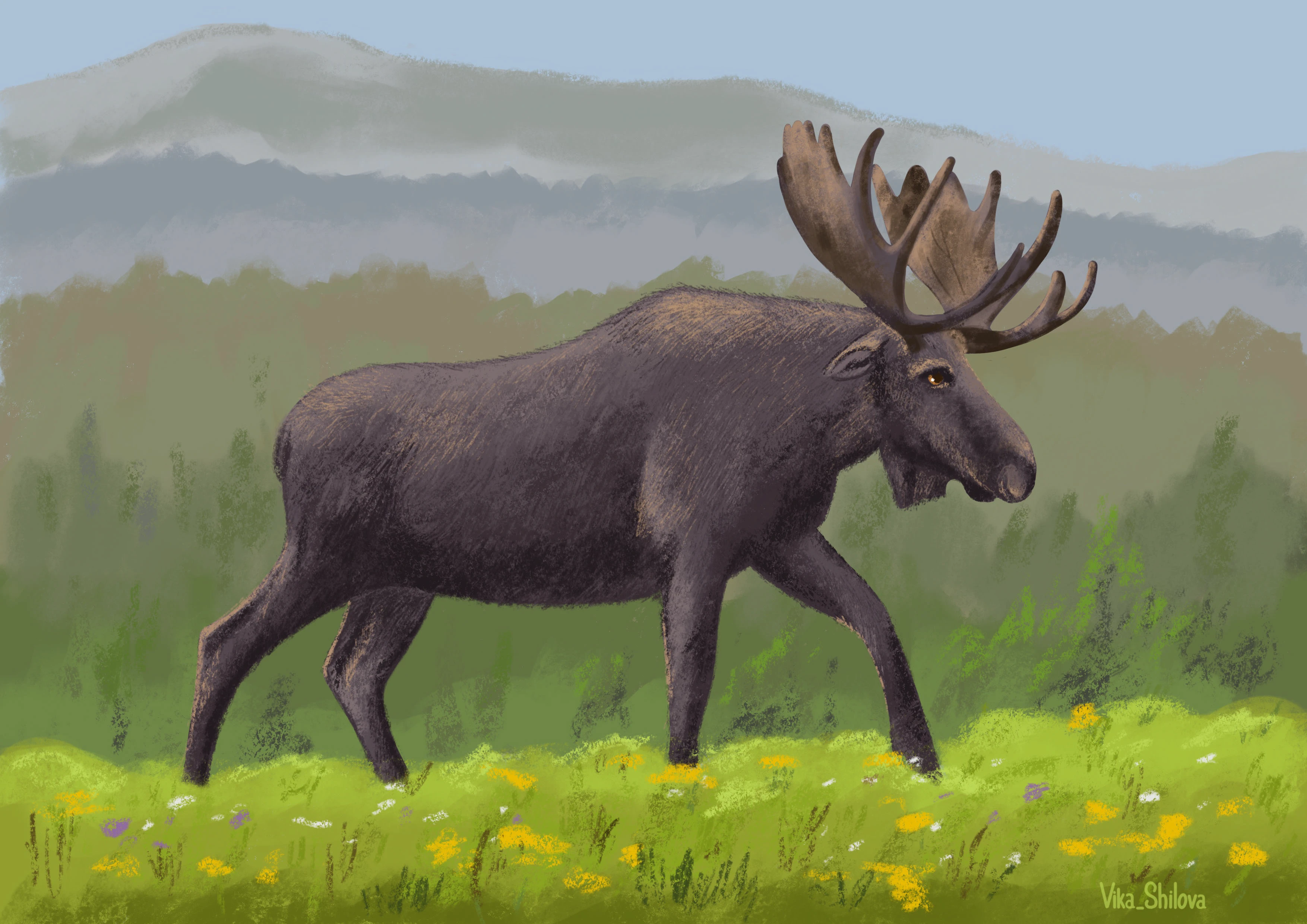 Животные в природе — Изображение №1 — Иллюстрация, Графика на Dprofile