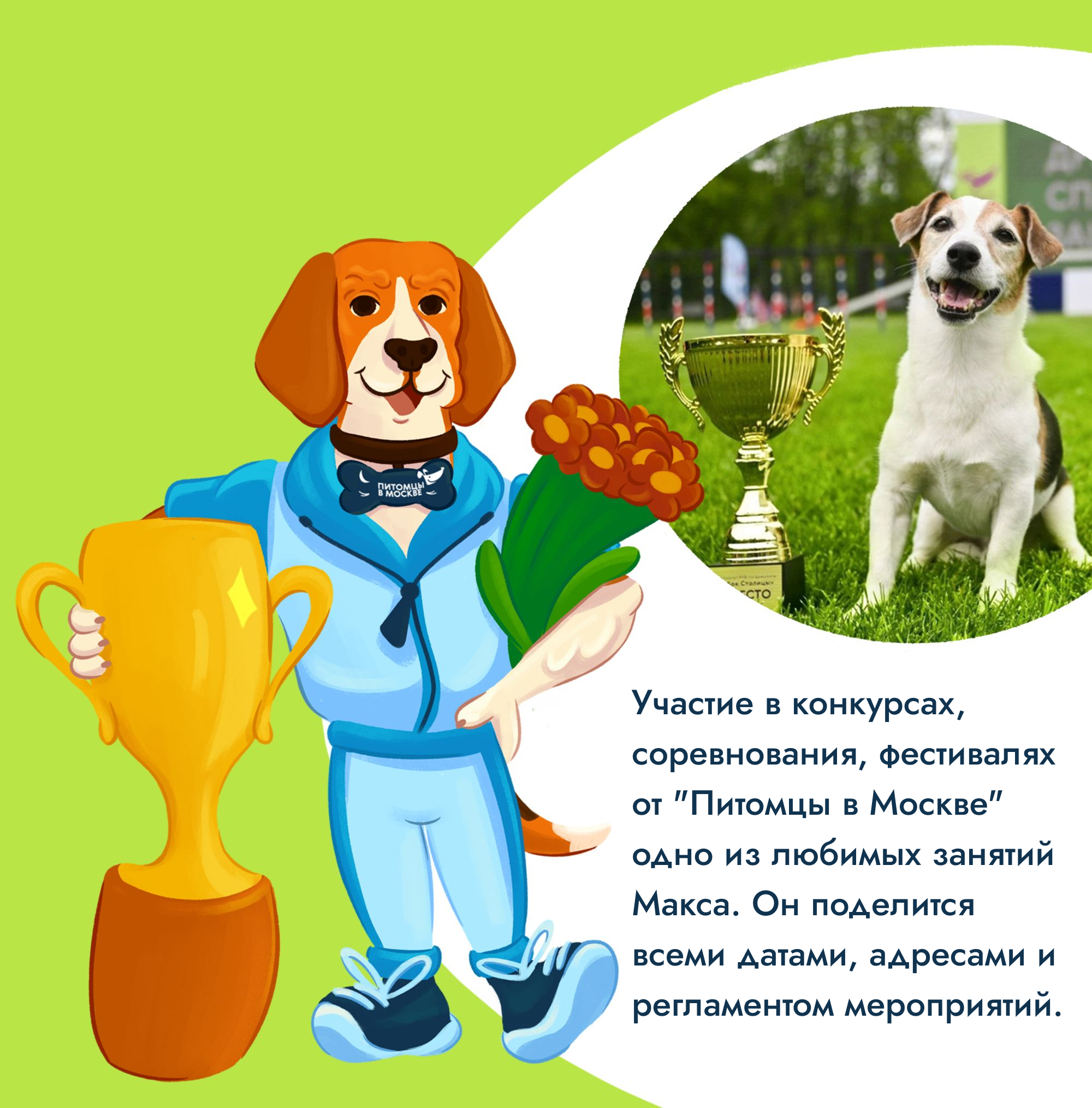 Бренд-персонаж для проекта «Питомцы в Москве» — Изображение №7 — Иллюстрация на Dprofile