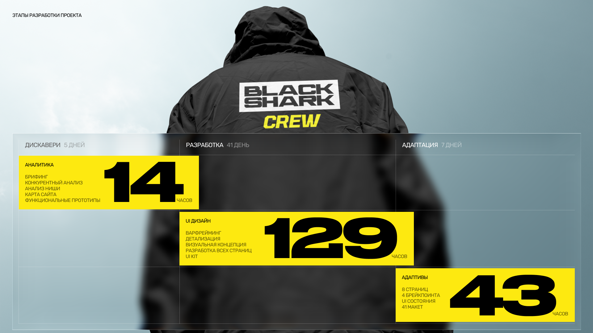 Black Shark | Интернет-магазин — Изображение №4 — Интерфейсы, Анимация на Dprofile