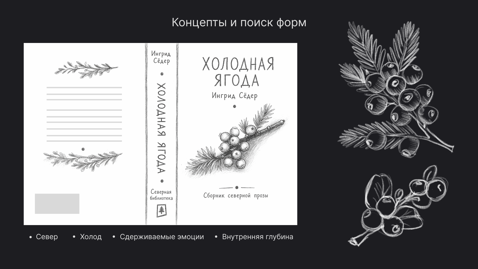 Книжная обложка "Холодная Ягода" — Изображение №2 — Брендинг, Иллюстрация на Dprofile