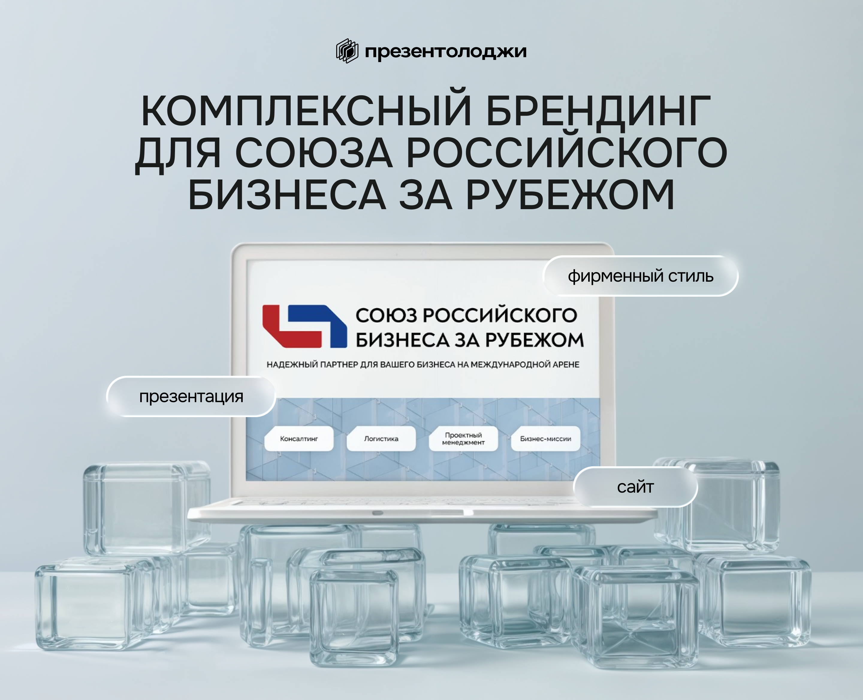 Комплексный брендинг и сайт — Изображение №1 — Интерфейсы, Брендинг на Dprofile