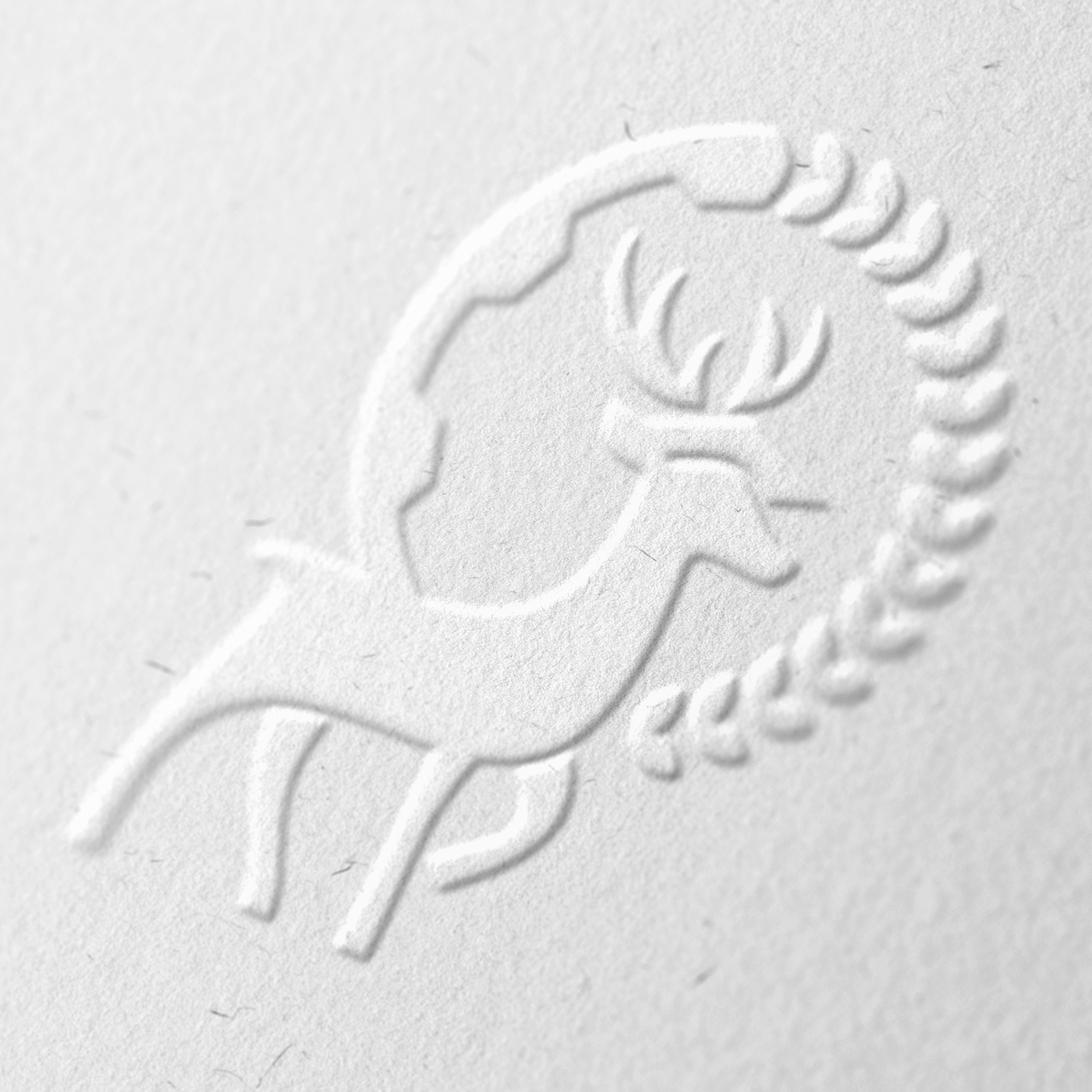 Логотип СПО Нижегородской области — Изображение №3 — Брендинг на Dprofile