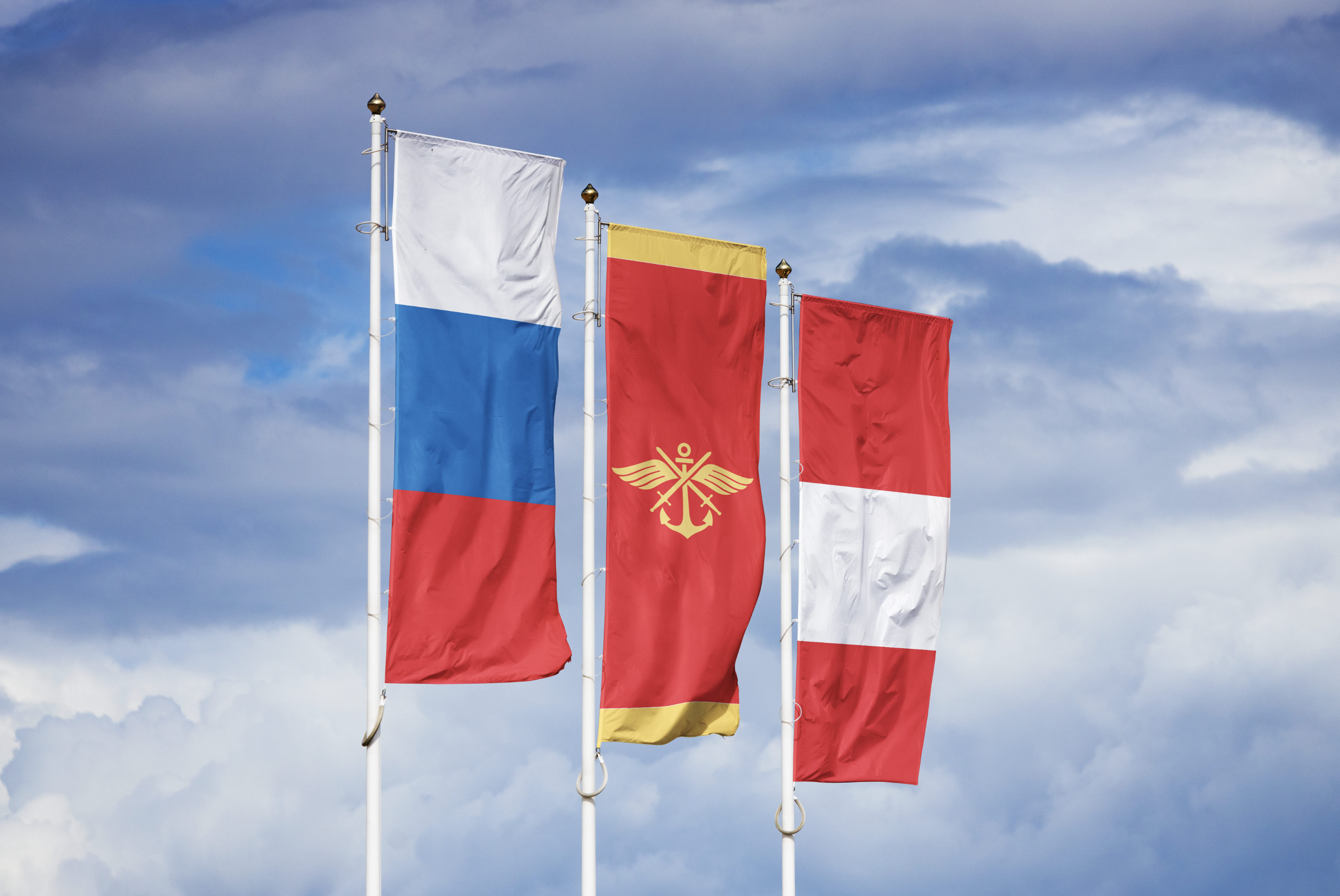 Логотип и айдентика ДОСААФ России — Изображение №1 — Брендинг на Dprofile