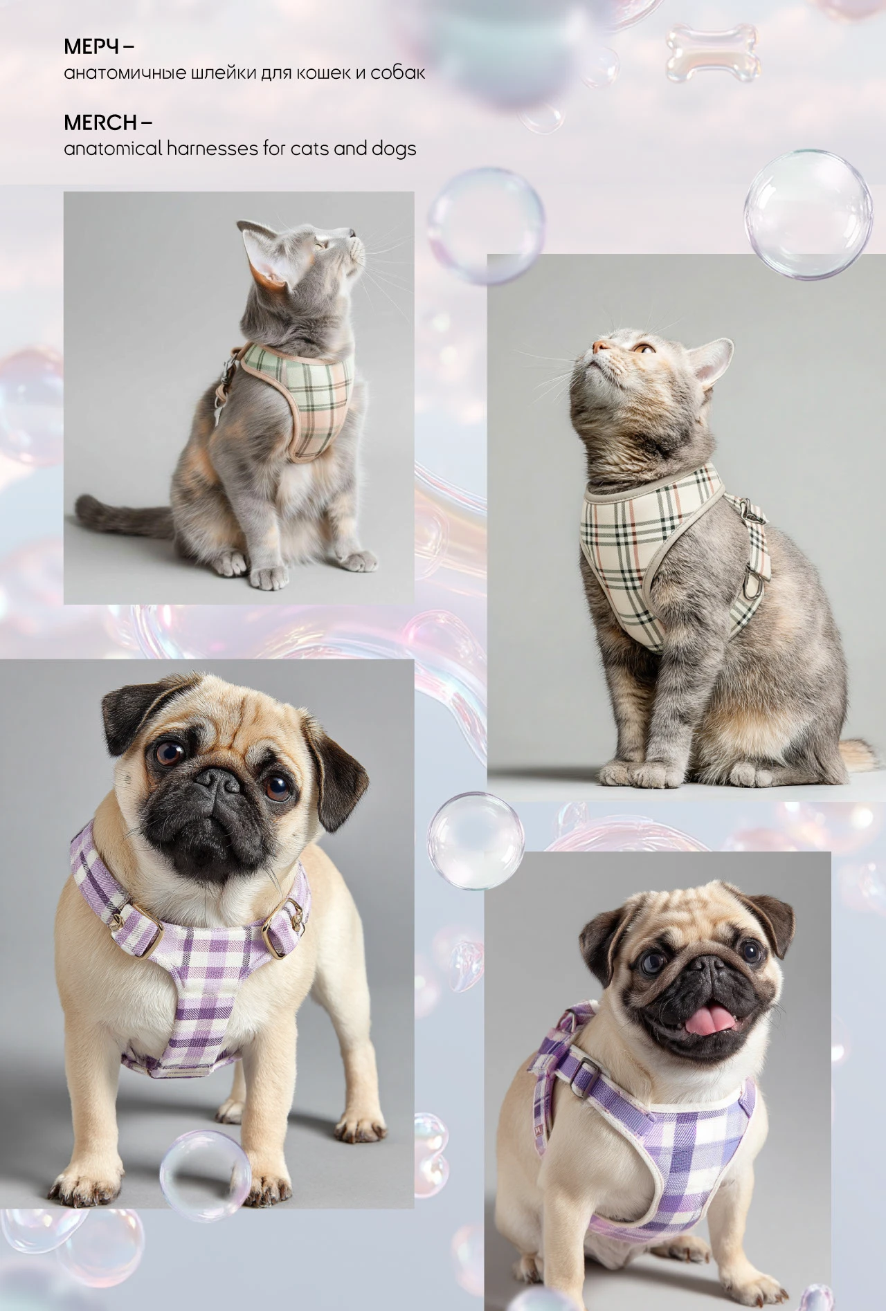 AI-контент для груминг-салона — Изображение №6 — Анимация, Маркетинг на Dprofile