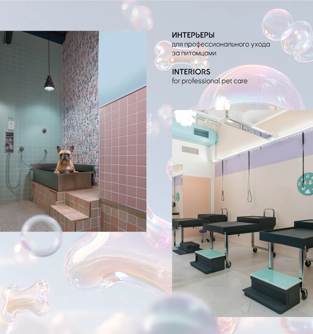 AI-контент для груминг-салона — Изображение №5 — Анимация, Маркетинг на Dprofile