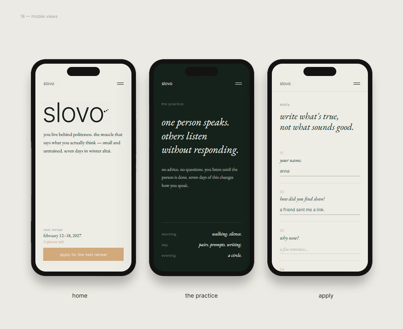 slovo — брендинг & web дизайн — Изображение №18 — Интерфейсы, Брендинг на Dprofile