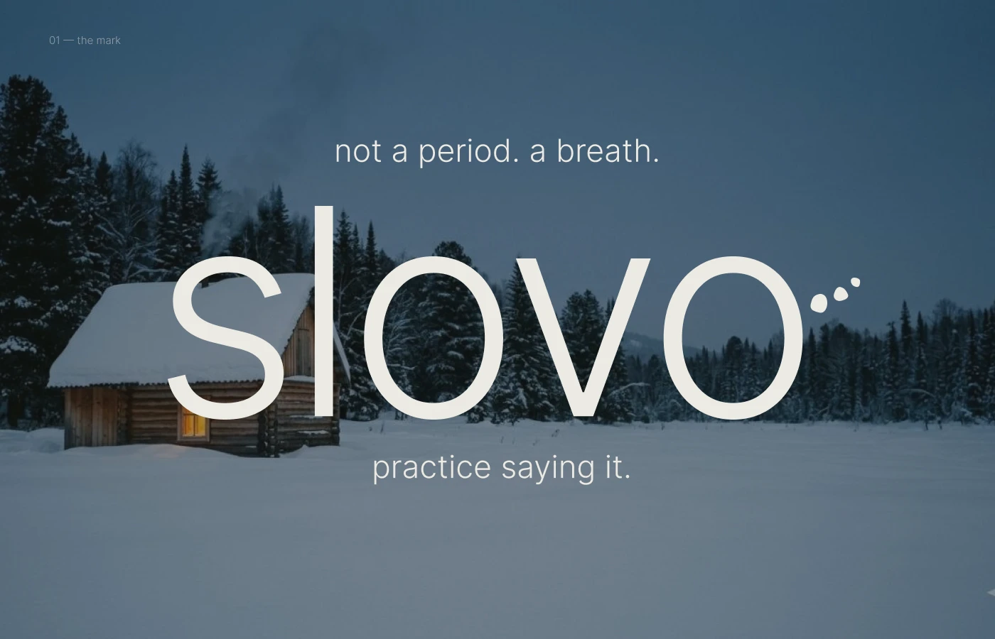 slovo — брендинг & web дизайн — Изображение №1 — Интерфейсы, Брендинг на Dprofile