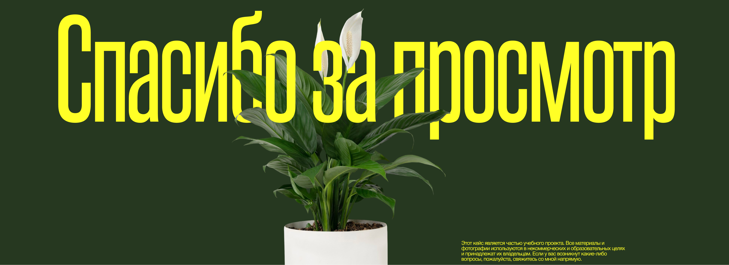 VERDANT GARDEN Корпоративный сайт — Изображение №12 — Интерфейсы, Анимация на Dprofile