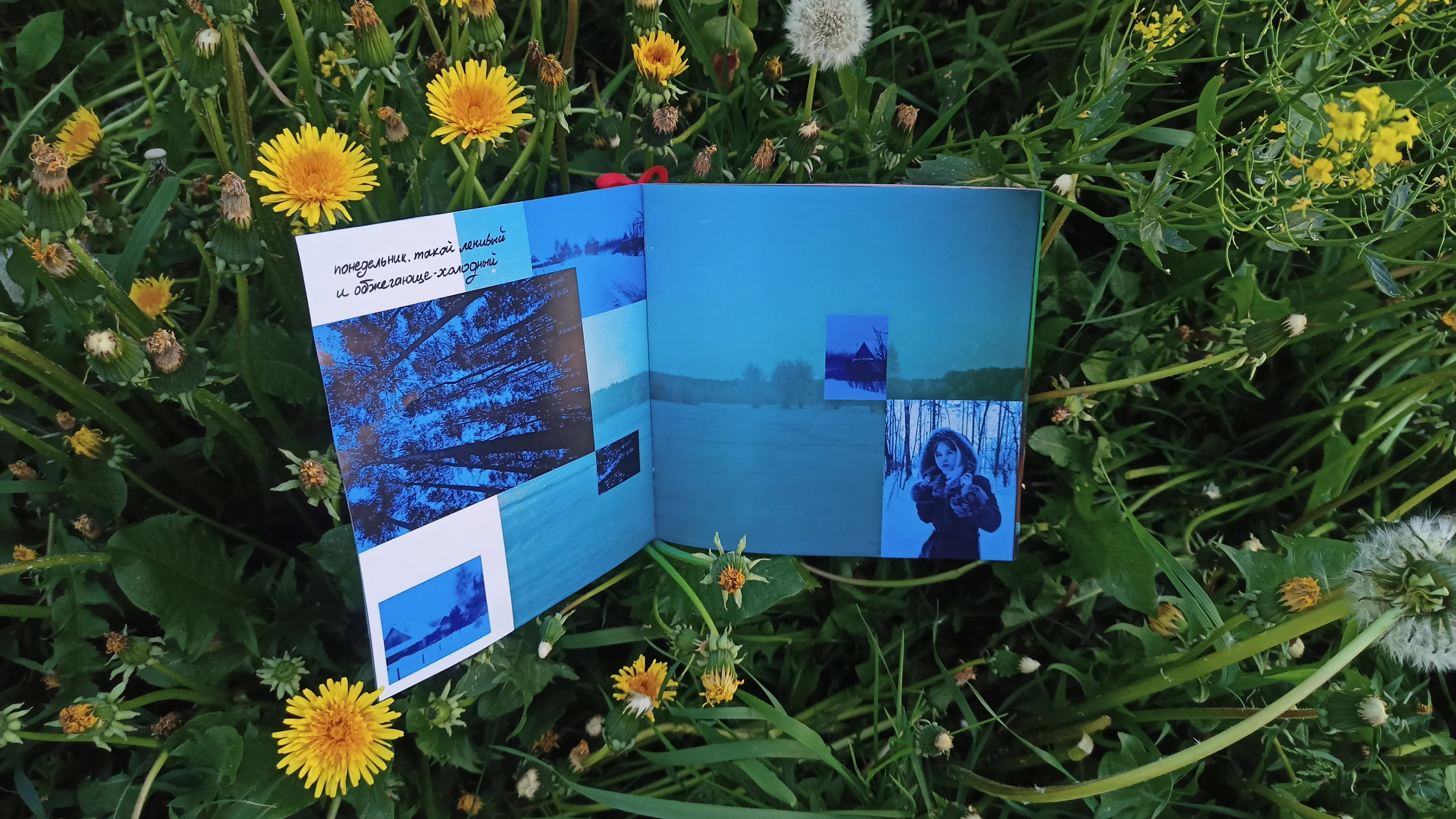 Фотография — Изображение №17 — Графика, Анимация на Dprofile