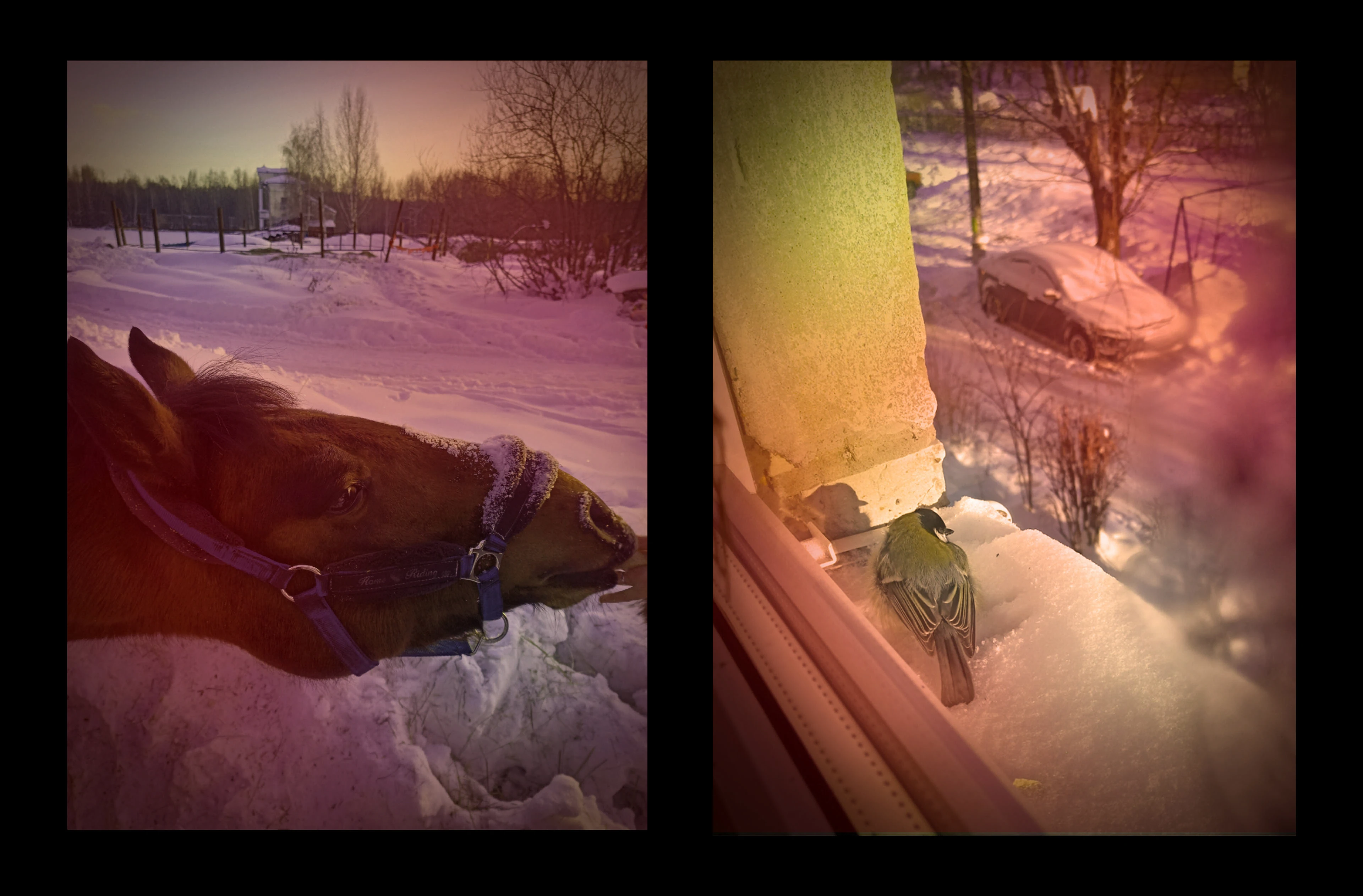 Фотография — Изображение №22 — Графика, Анимация на Dprofile