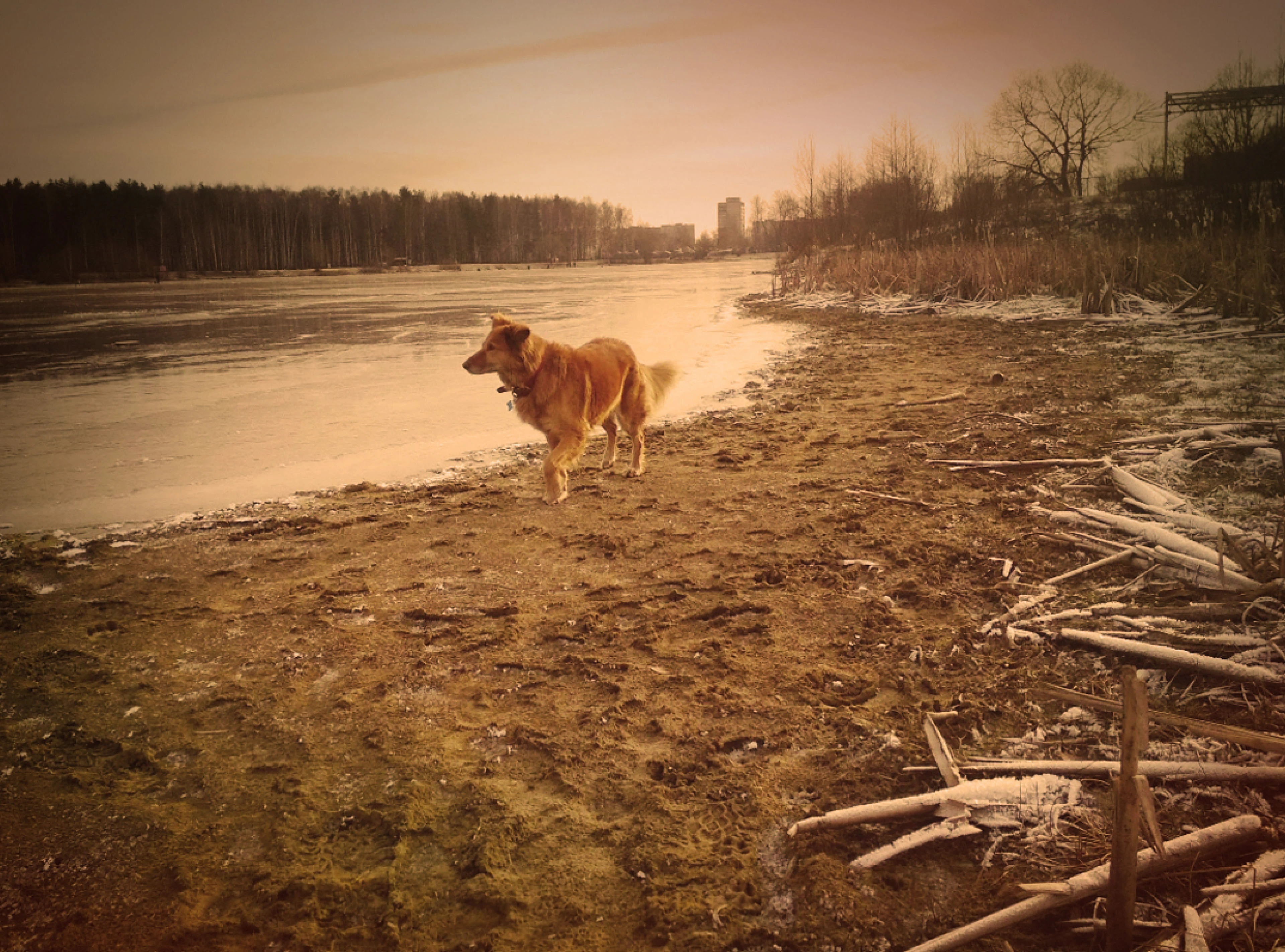 Фотография — Изображение №24 — Графика, Анимация на Dprofile