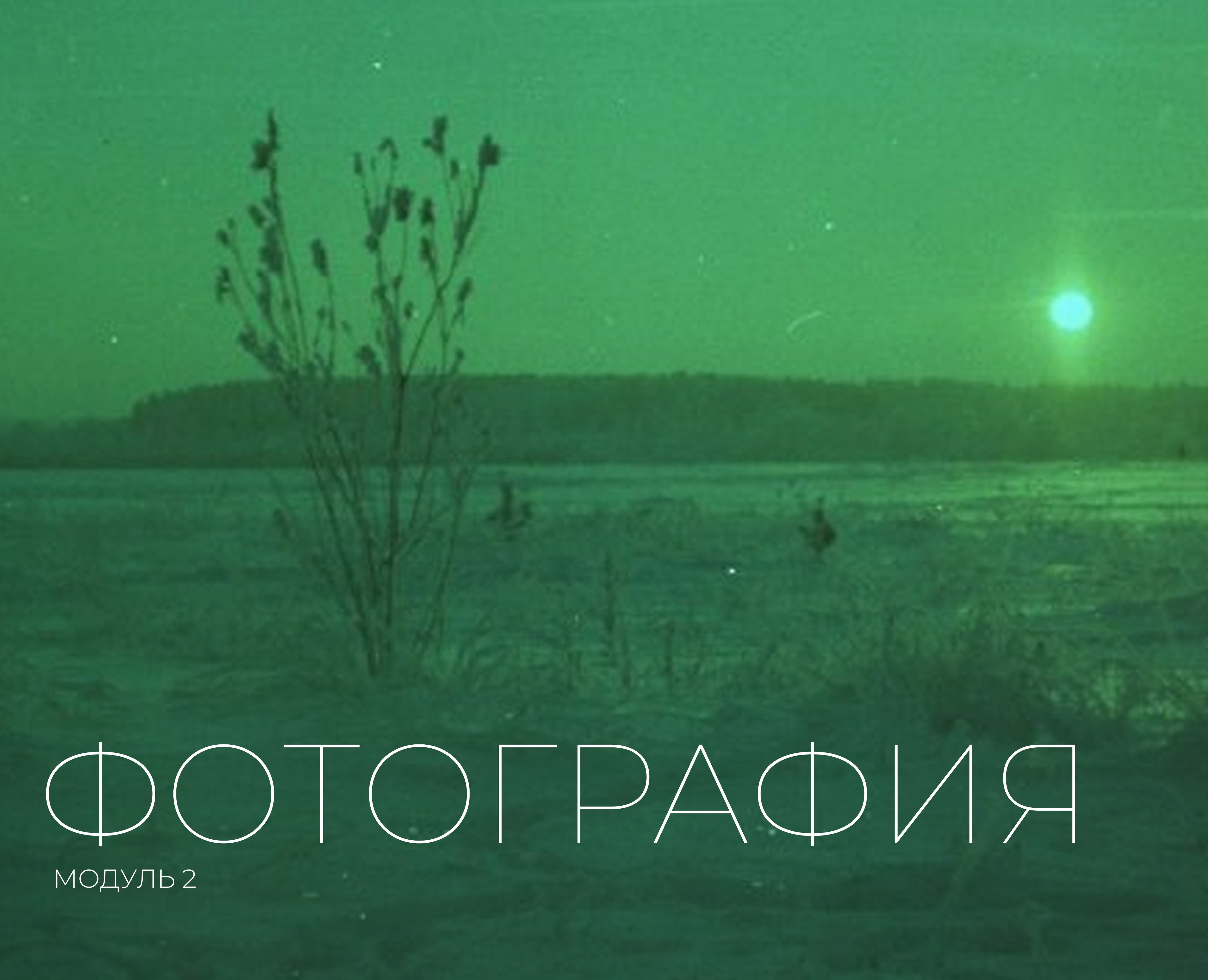 Фотография на Dprofile