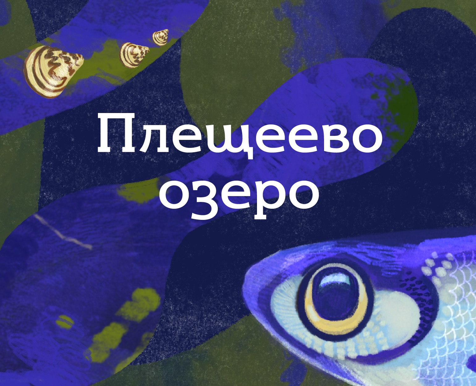 Дизайн видеогида для Национального парка «Плещеево озеро» — Иллюстрация, Анимация на Dprofile