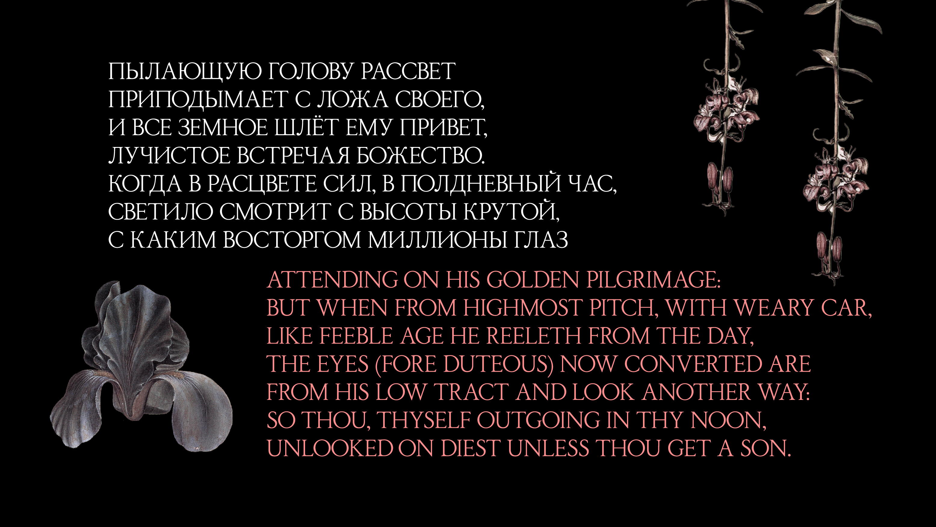 Наборный шрифт SS Type — Изображение №7 — Графика на Dprofile