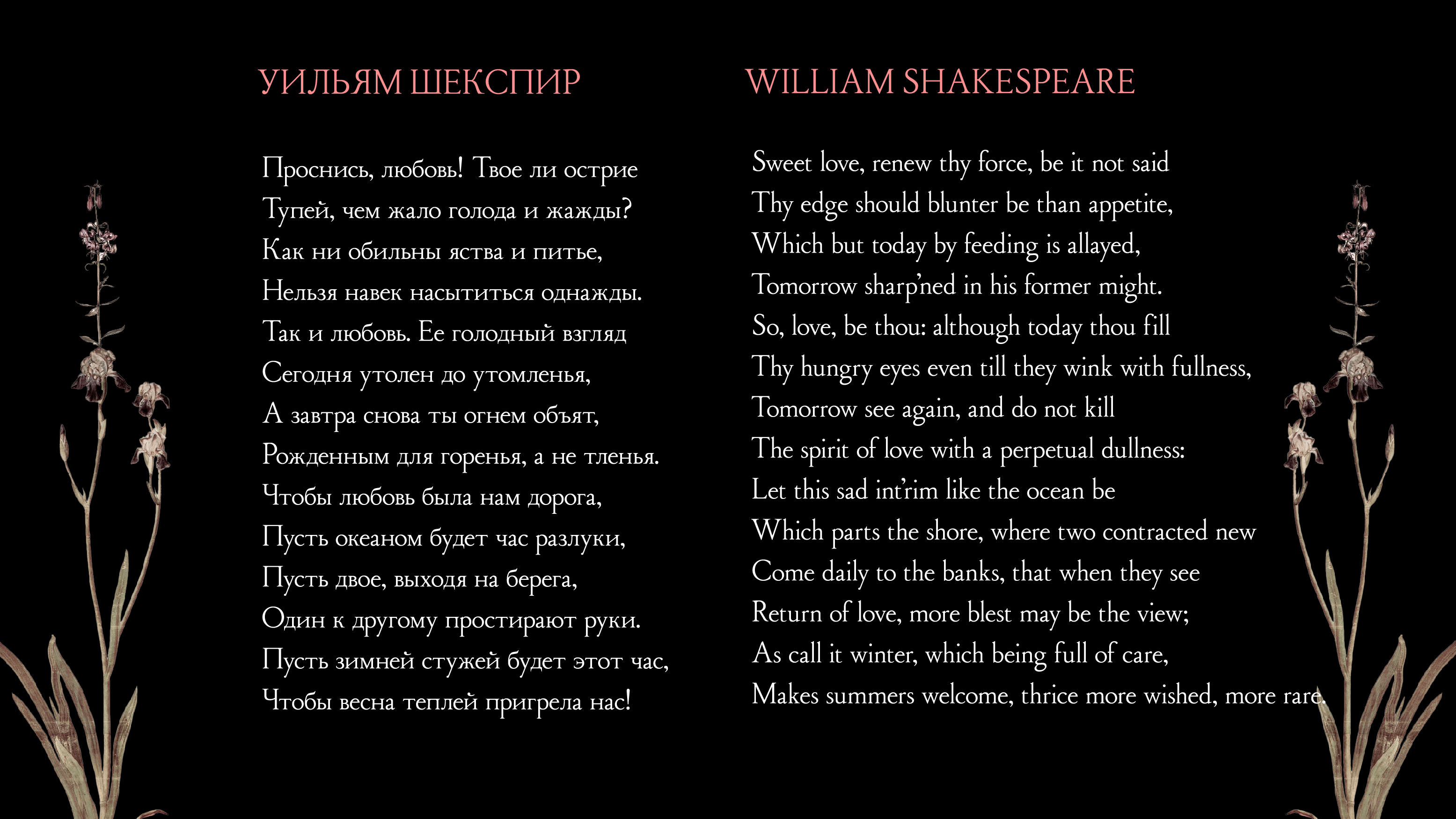 Наборный шрифт SS Type — Изображение №5 — Графика на Dprofile