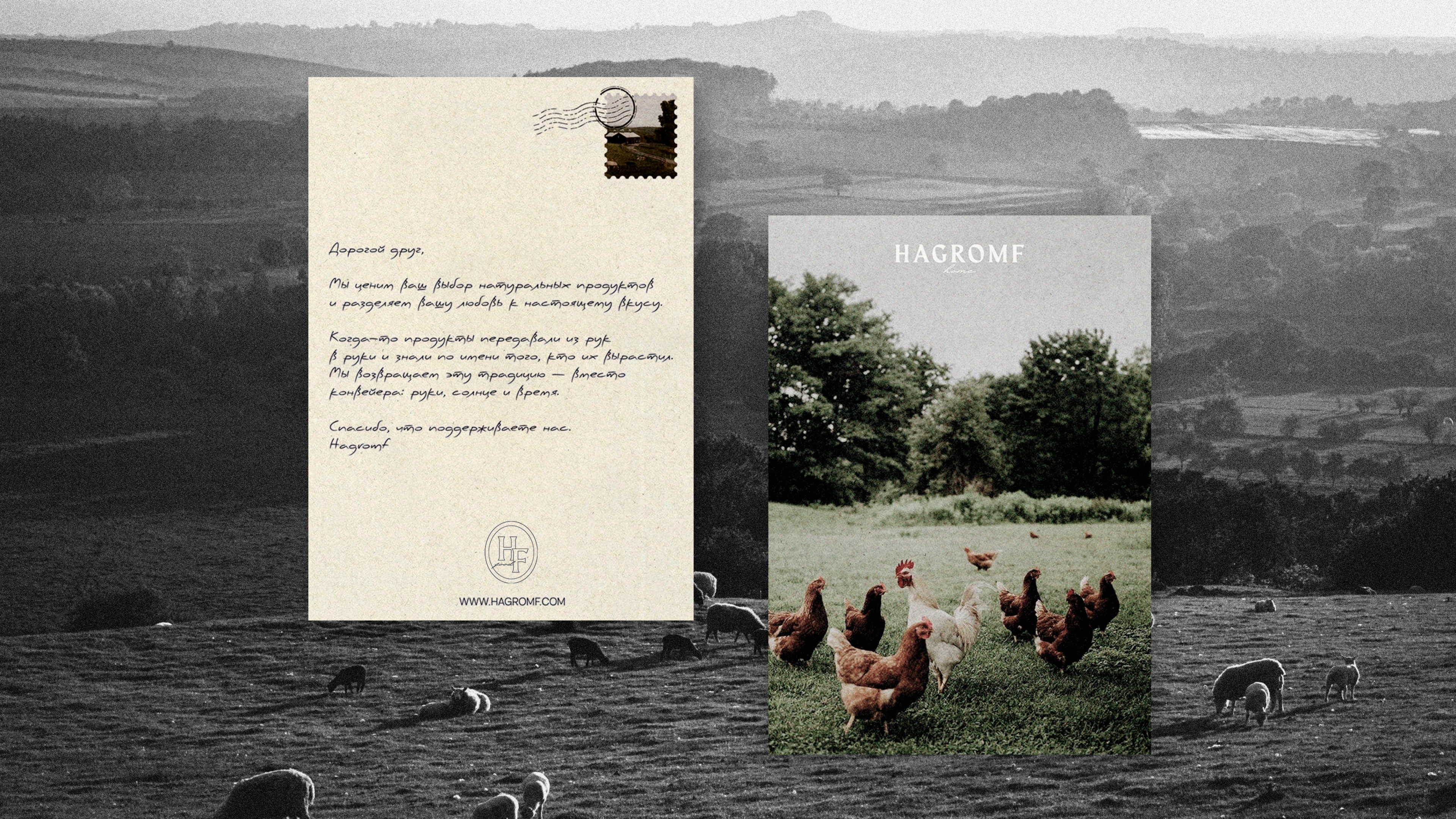 HAGROMF FOOD BRANDING — Изображение №7 — Брендинг на Dprofile