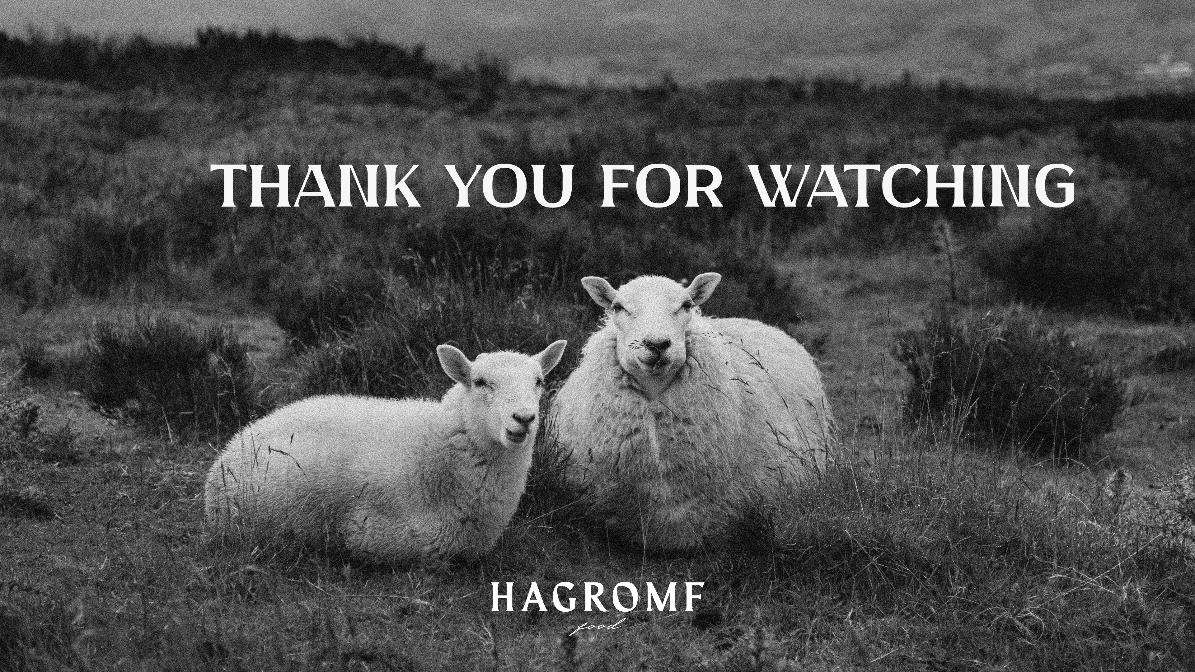 HAGROMF FOOD BRANDING — Изображение №15 — Брендинг на Dprofile