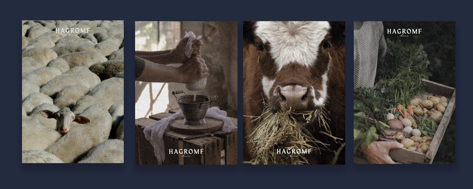 HAGROMF FOOD BRANDING — Изображение №10 — Брендинг на Dprofile