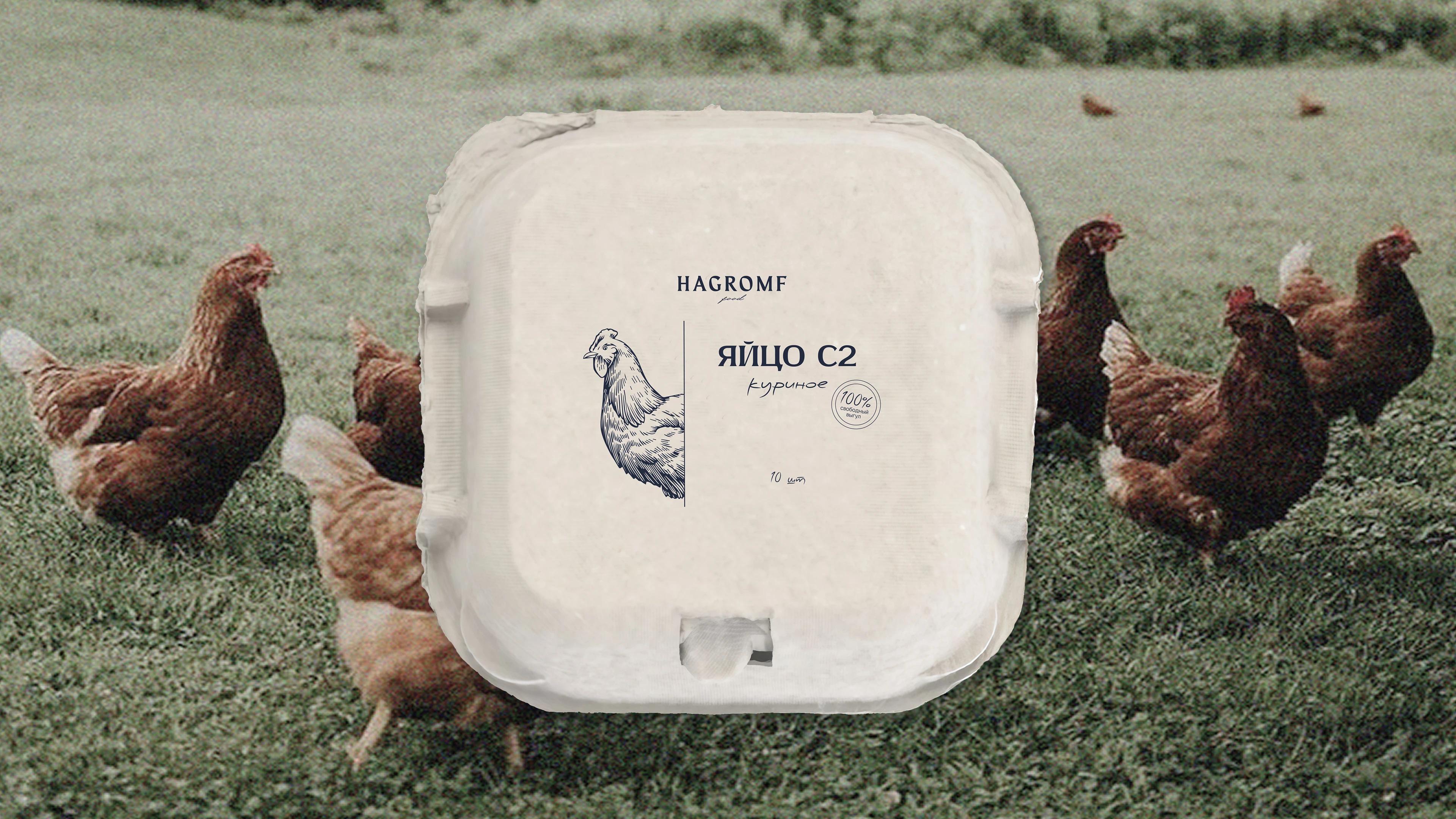 HAGROMF FOOD BRANDING — Изображение №11 — Брендинг на Dprofile