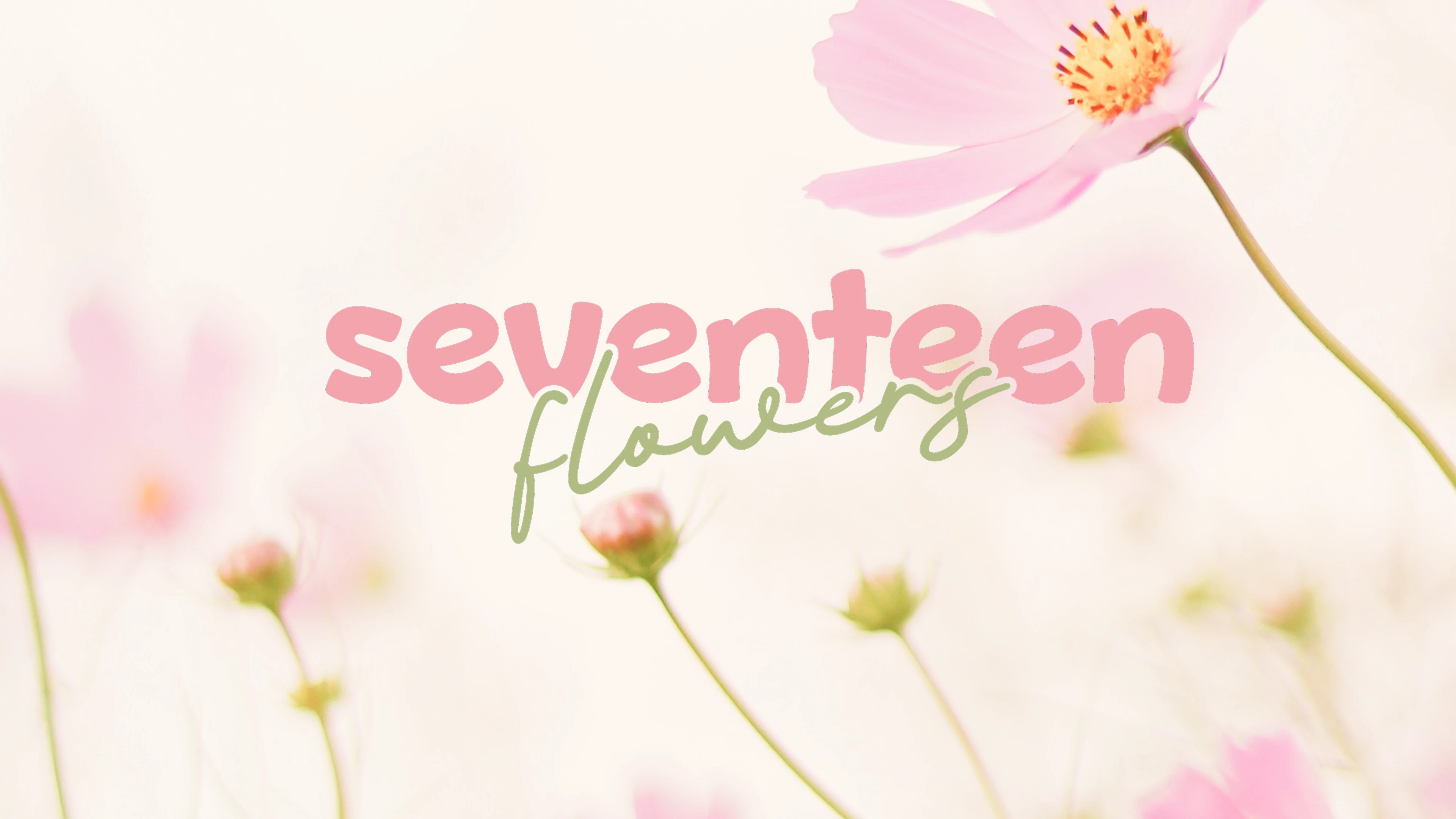 Фирменный стиль | логотип для цветочного магазина — Изображение №1 — Брендинг на Dprofile