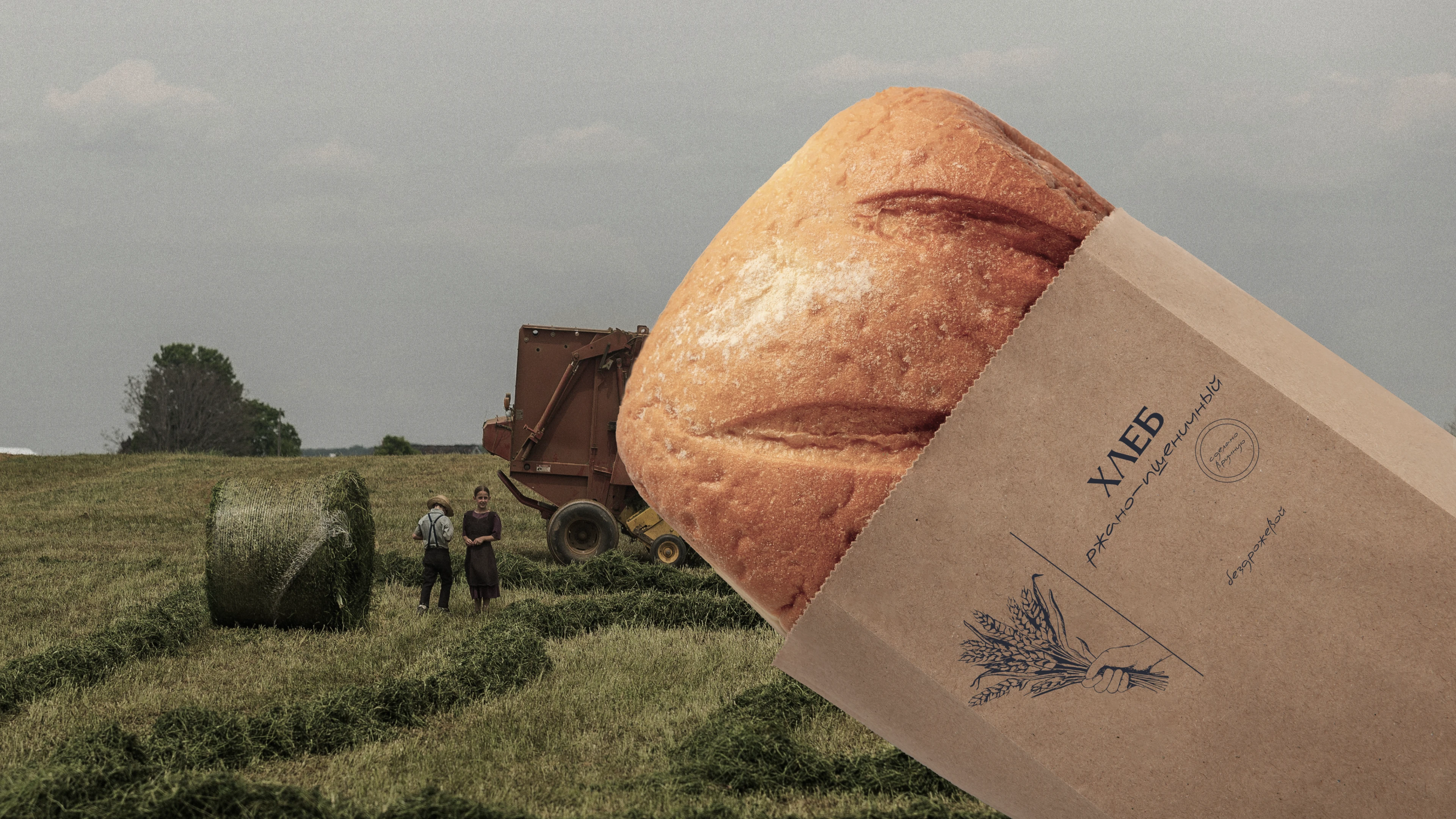 HAGROMF FOOD BRANDING — Изображение №13 — Брендинг на Dprofile