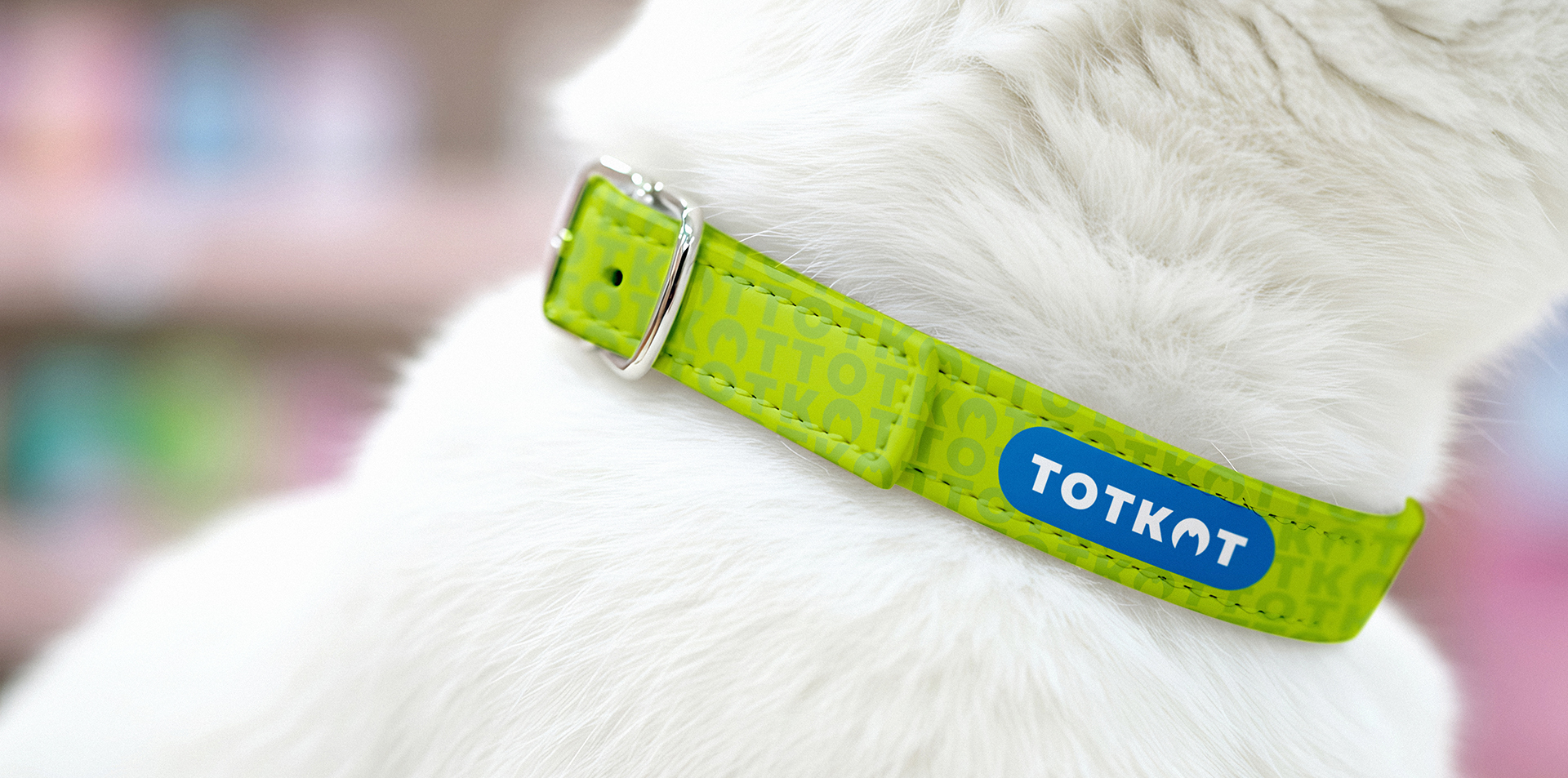 Айдентика TOTKOT — Изображение №4 — Брендинг на Dprofile