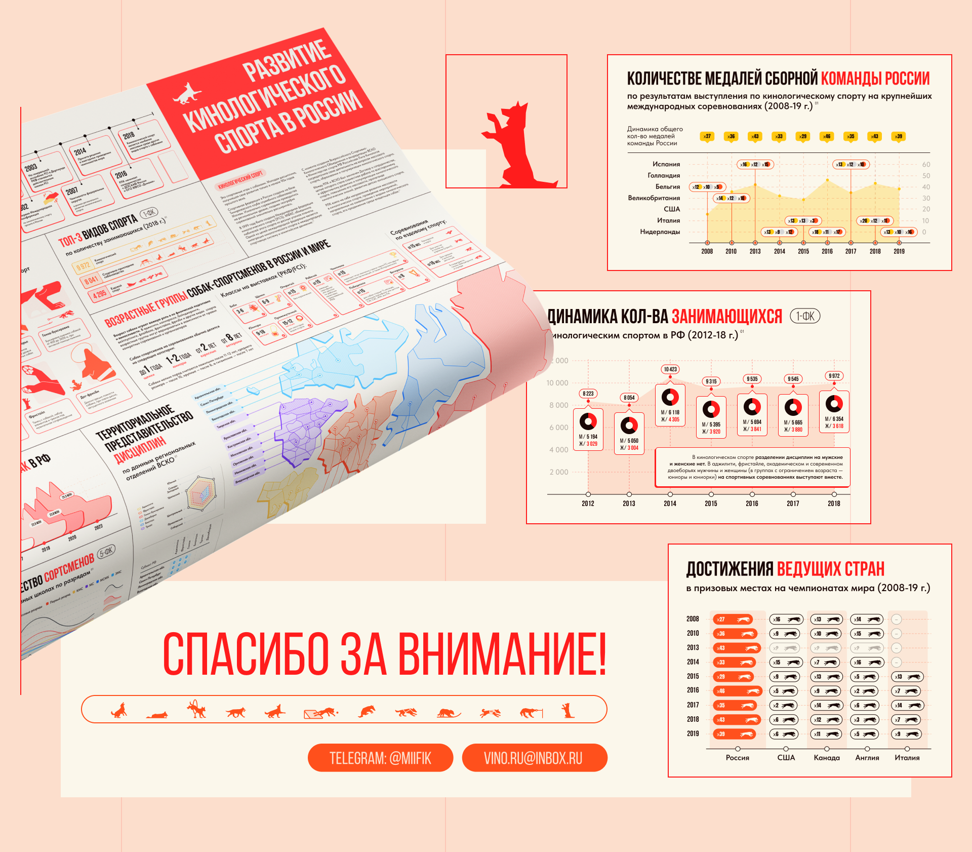 Инфографика | Кинологический спорт — Изображение №3 — Иллюстрация, Графика на Dprofile