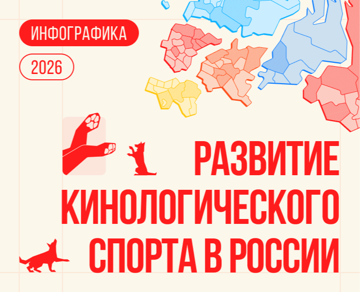Инфографика | Кинологический спорт на Dprofile