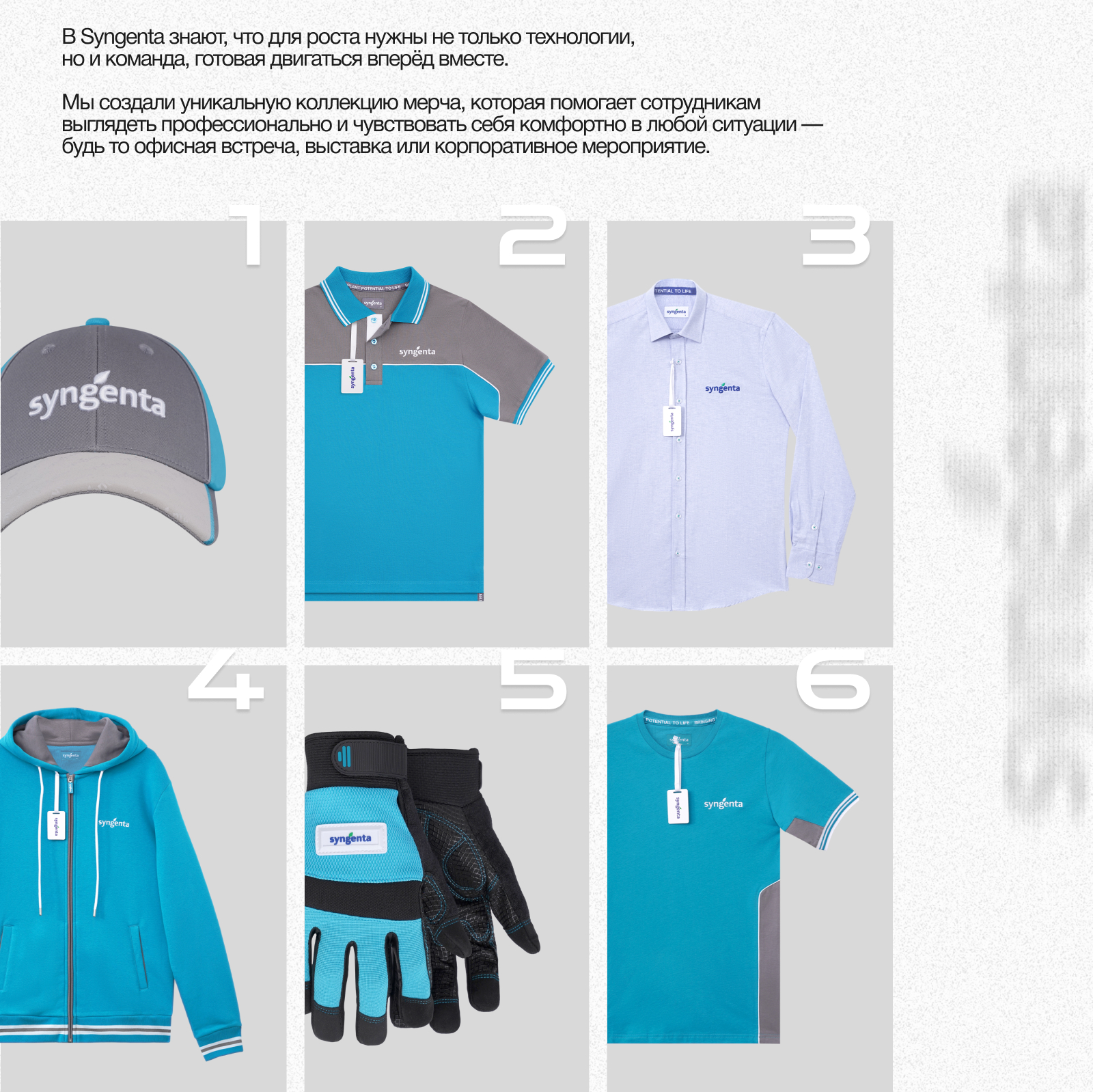 Syngenta коллекция мерча — Изображение №3 — Брендинг на Dprofile