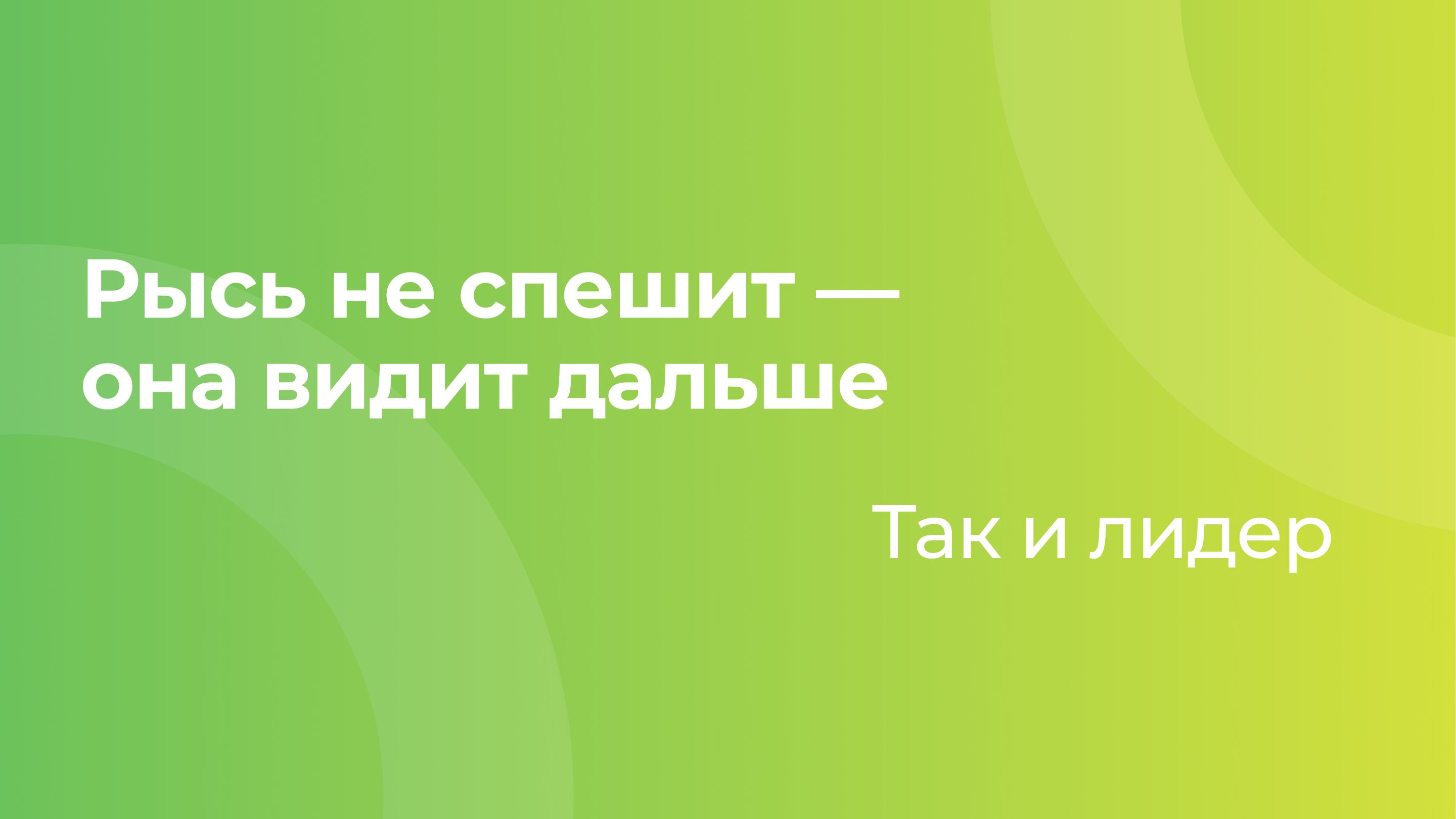 Клуб Лидеров «Эльбрус» — стикер–пак Рысь — Изображение №3 — Брендинг, Иллюстрация на Dprofile