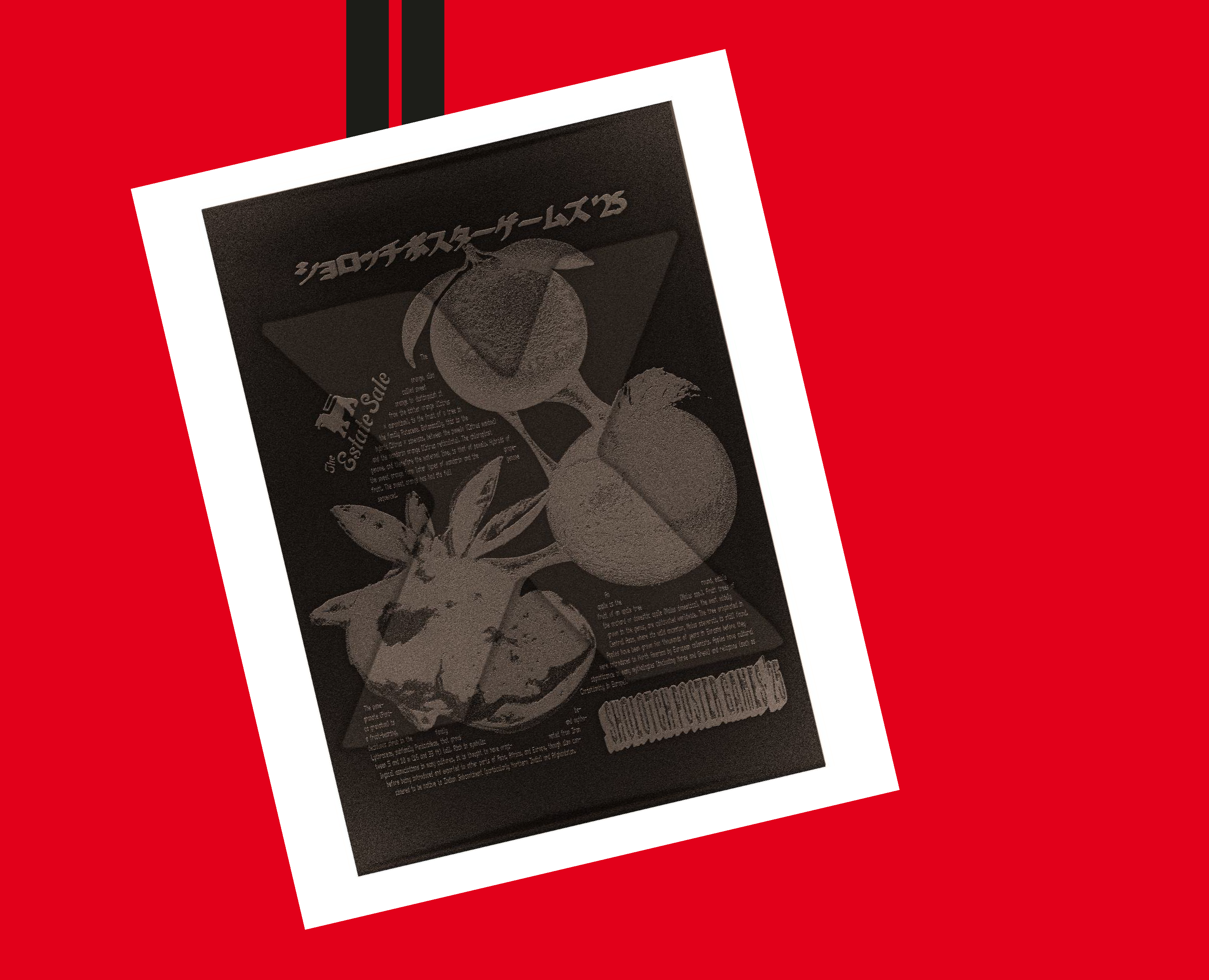 POSTERS 2025 — Изображение №4 — Графика на Dprofile