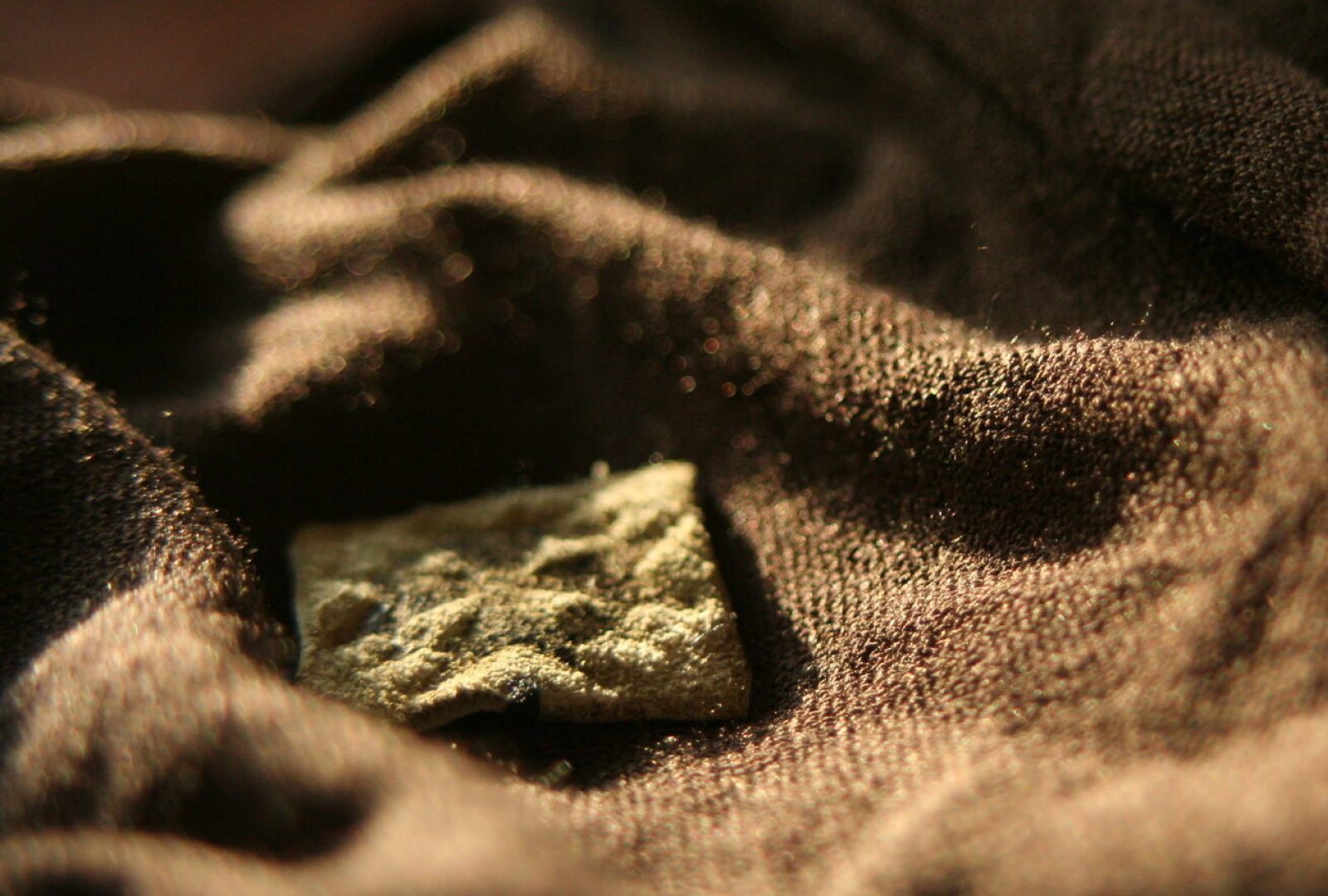 COLOMA| бренд одежды — Изображение №4 — Брендинг на Dprofile