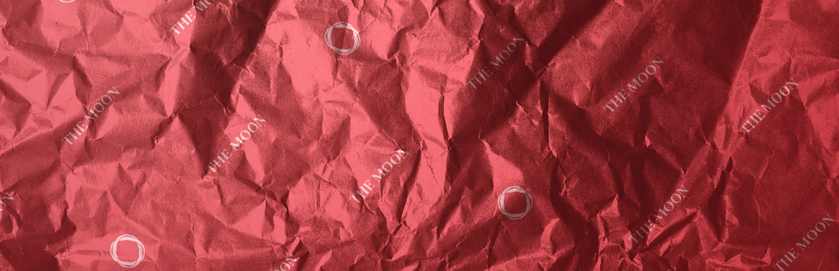 THE MOON - Clothing brand | Brand Identity — Изображение №9 — Брендинг на Dprofile