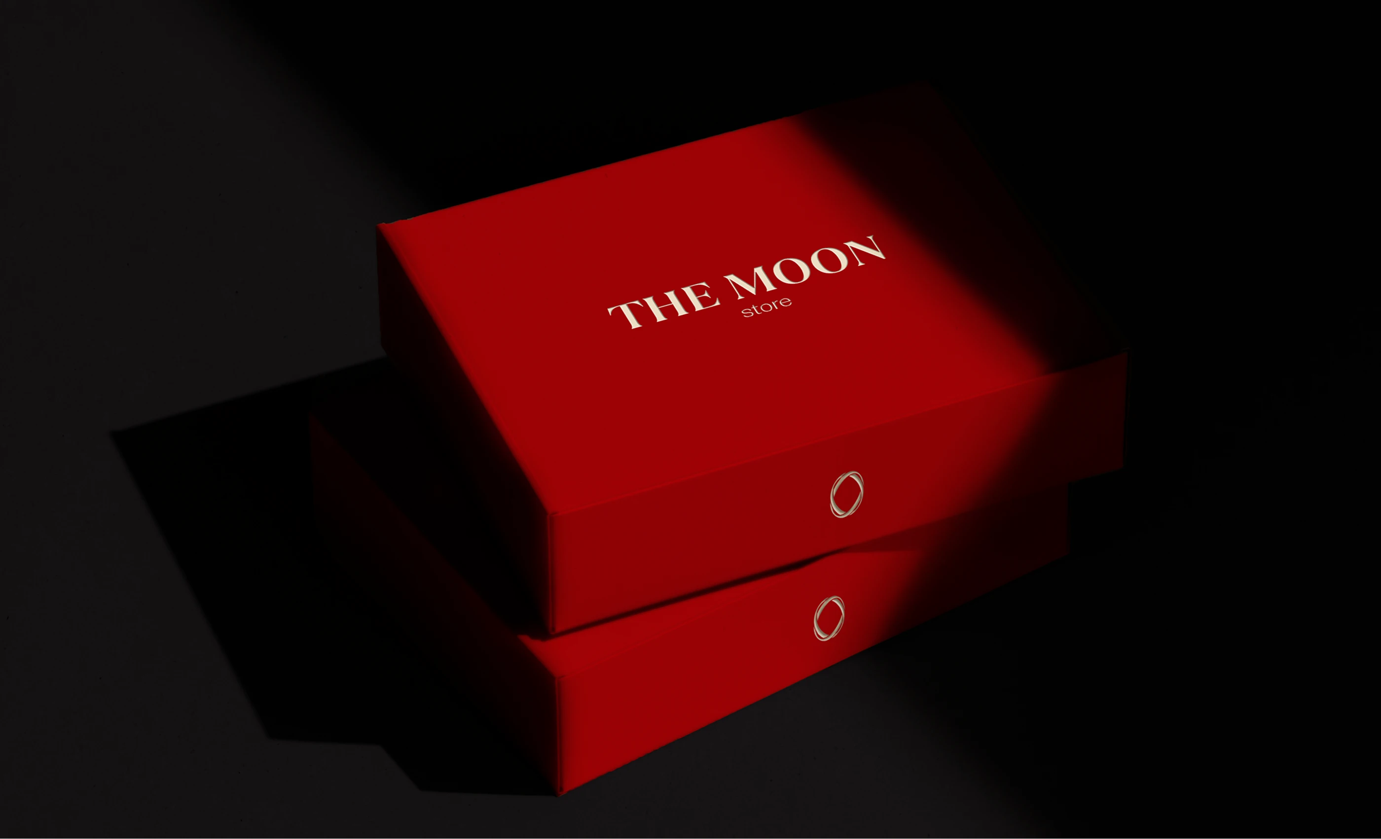 THE MOON - Clothing brand | Brand Identity — Изображение №1 — Брендинг на Dprofile