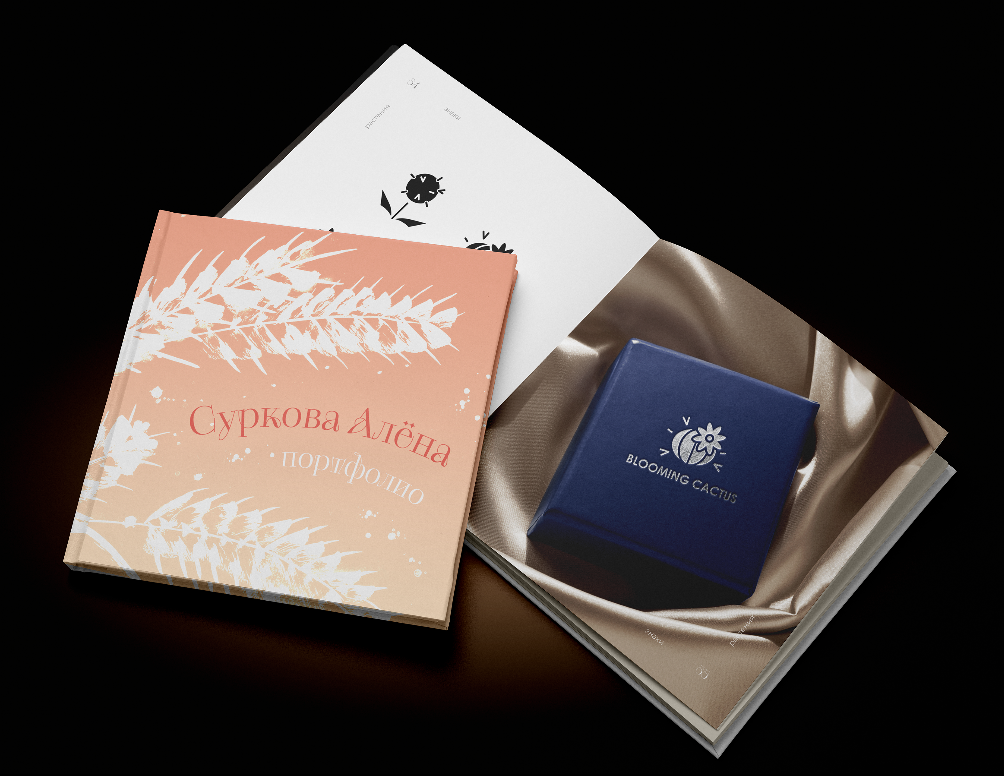 Книга–портфолио — Изображение №3 — Графика на Dprofile